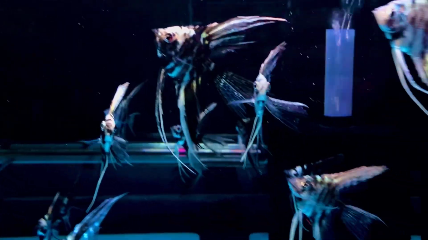 Screenshot (992).png