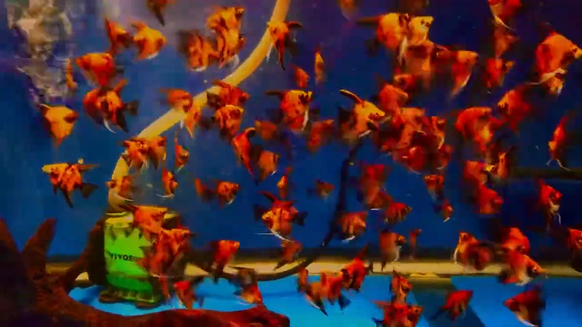 Screenshot (5).png