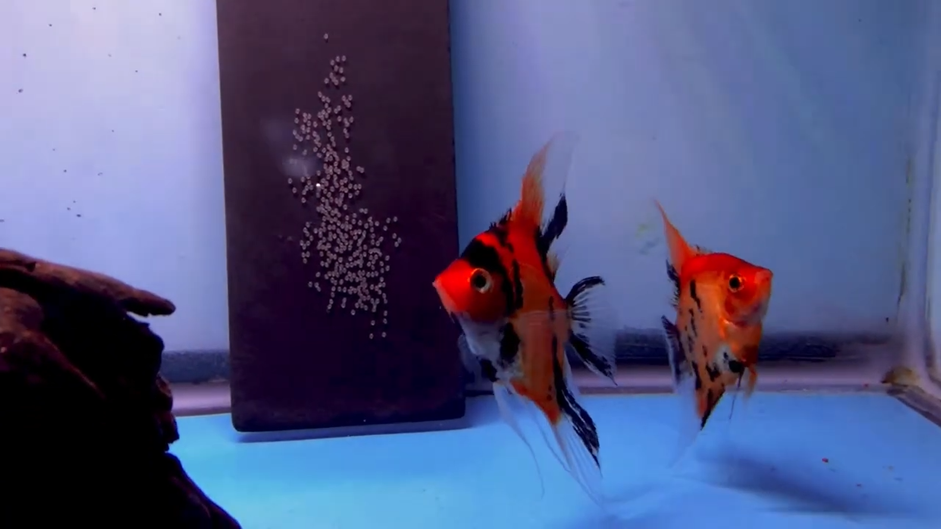 Screenshot (12).png
