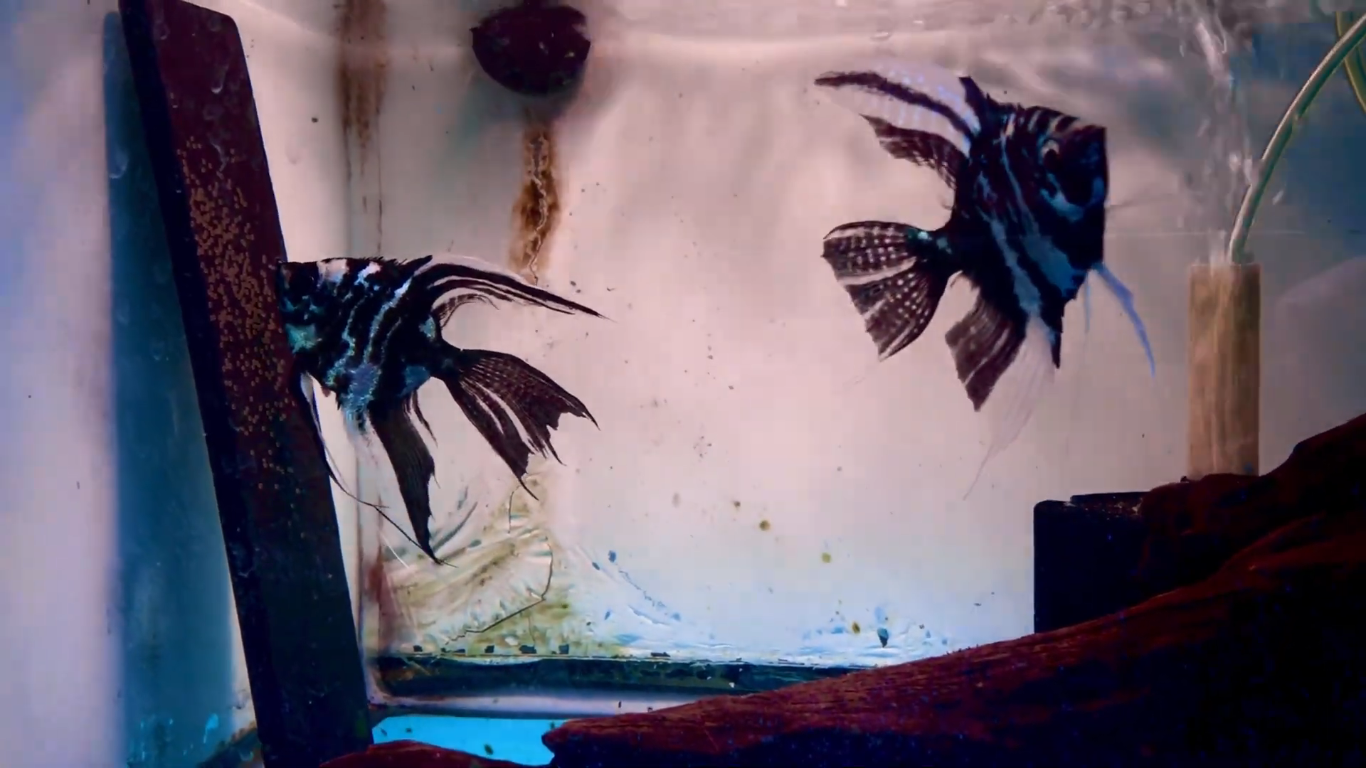 Screenshot 2026-04-12 162814.png