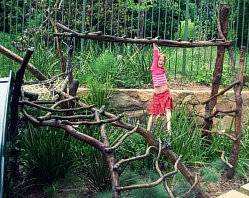 Backyard Play Structures