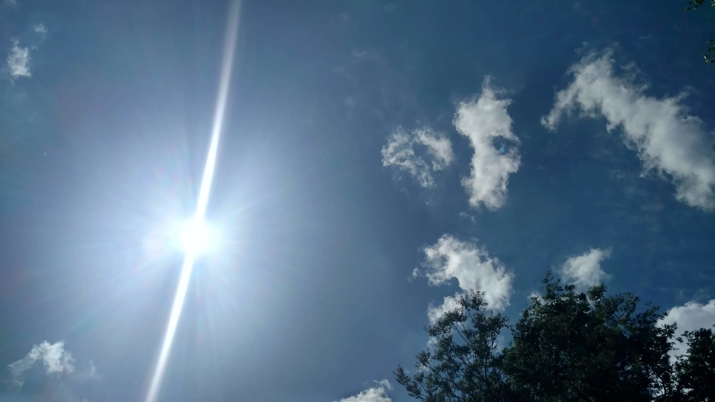 The sun's harmful UVA and UVB rays can cause skin cancer and premature aging.