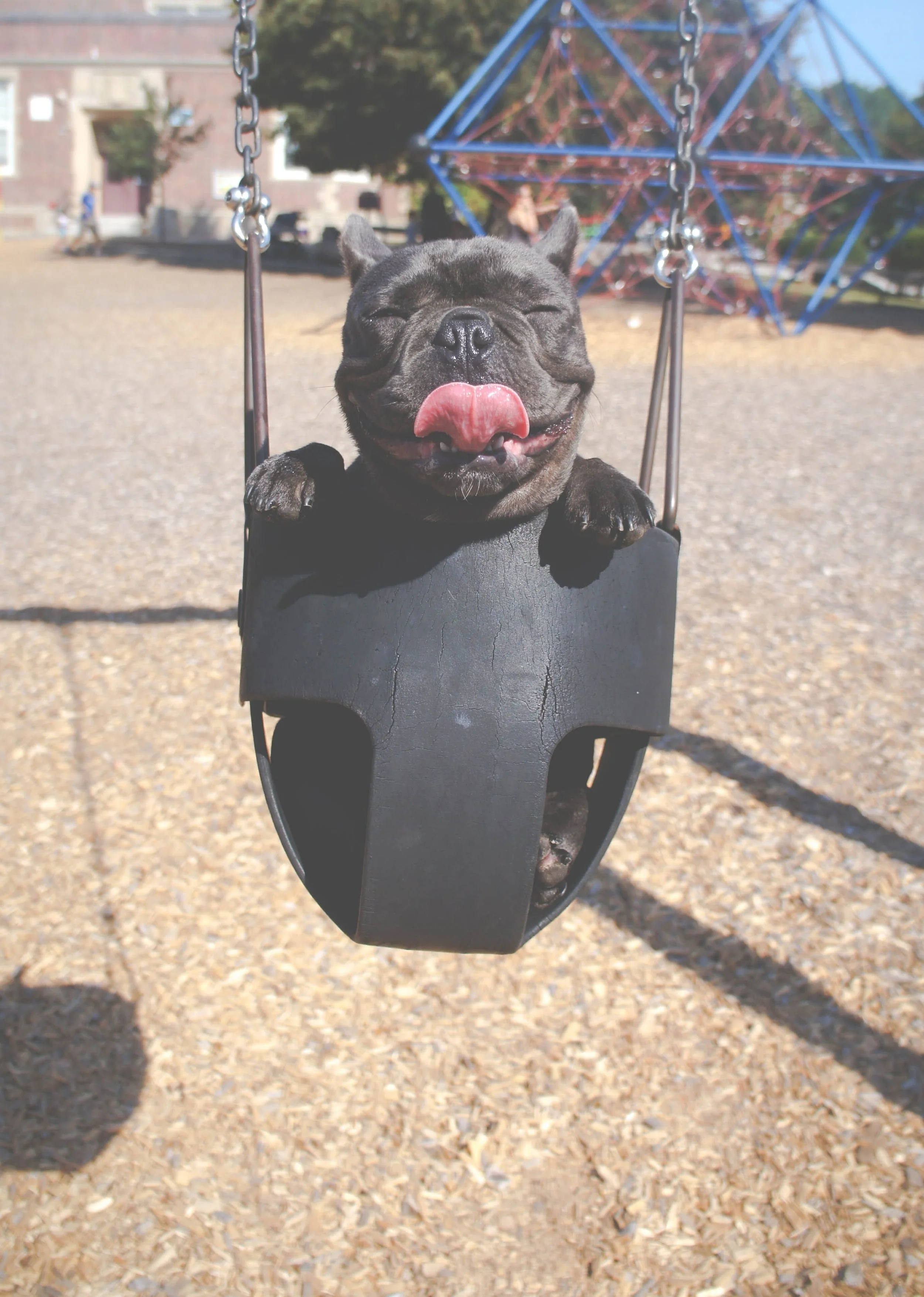 Wood playground mulch, or engineered wood fiber (EWF).