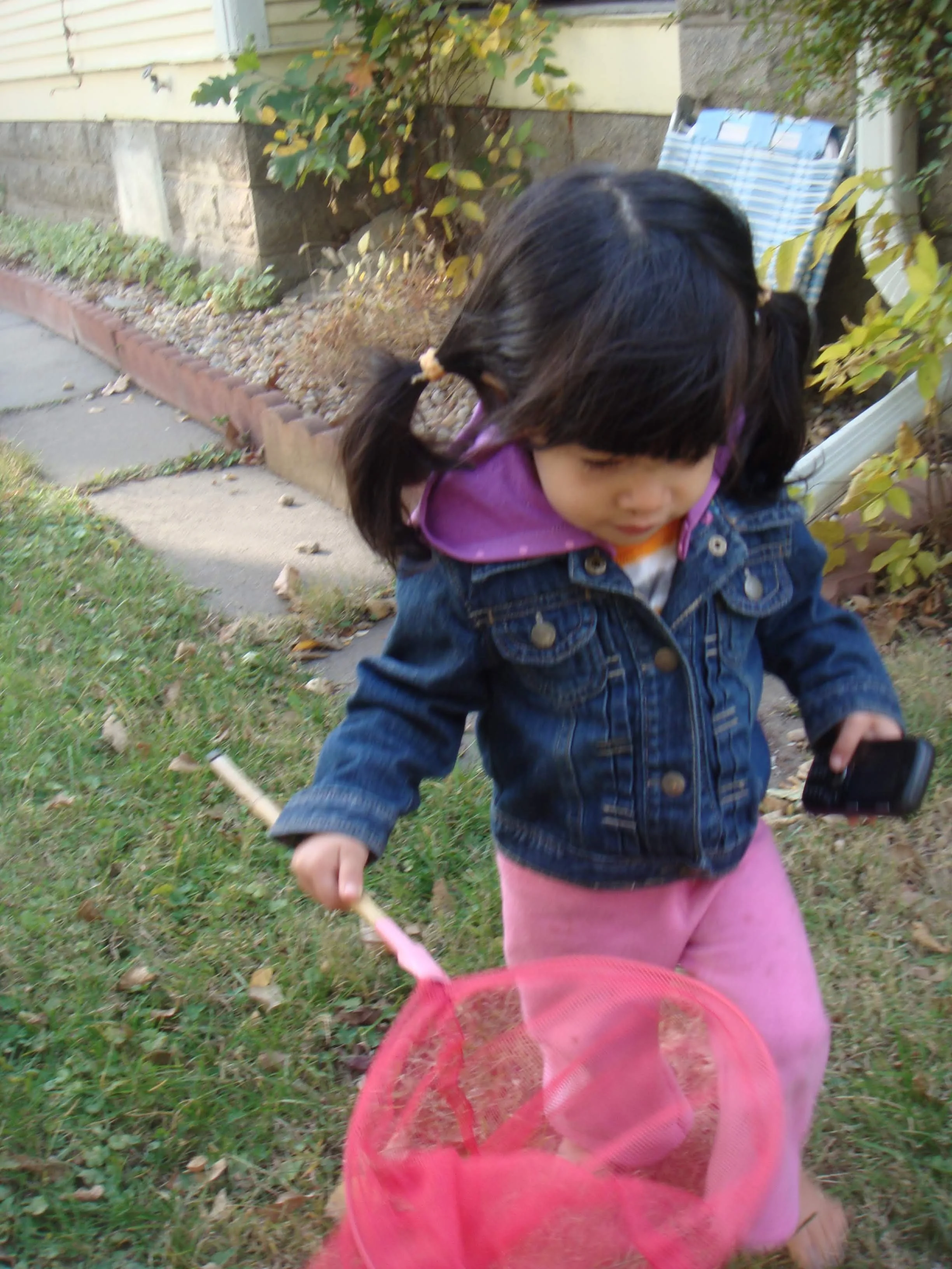 Backyard Bug Hunt: Ideas, Tips, Tools, and Resources