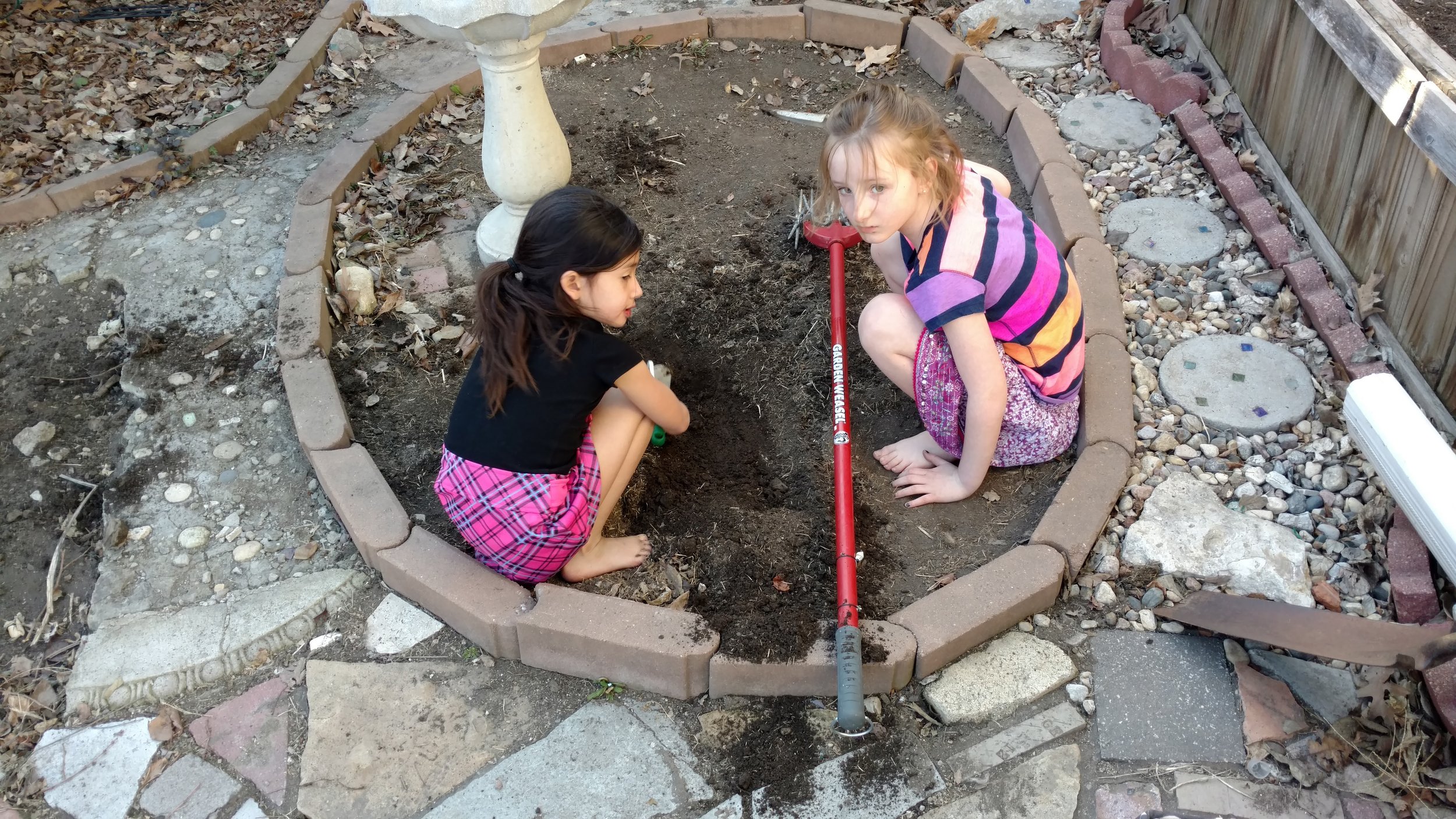 Backyard Bug Hunt: Ideas, Tips, and Tools — The Backyard Kid