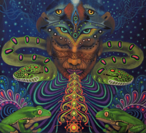 WHAT IS AYAHUASCA? Also known as the Vine of the Soul, Ayahuasca is an powerful healing Amazonian plant mixture of Banisteriopsis caapi vine and the Chacruna Leaf sought after for its profound healing properties and its ability to induce altered states of consciousness. At our retreat, we are privileged to share this medicine with Shamans who come from the Shipibo tribe, and our very talented heart centered facilitators. The known benefits of Ayahuasca can be best described by Dr. Charles Grob, M.D., a professor of psychiatry and pediatrics at UCLA’s School of Medicine. He states, “You come back with images, messages, even communications. You’re learning about yourself, reconceptualizing prior experiences. Having had a profound psycho-spiritual epiphany, you’re not the same person you were before.”