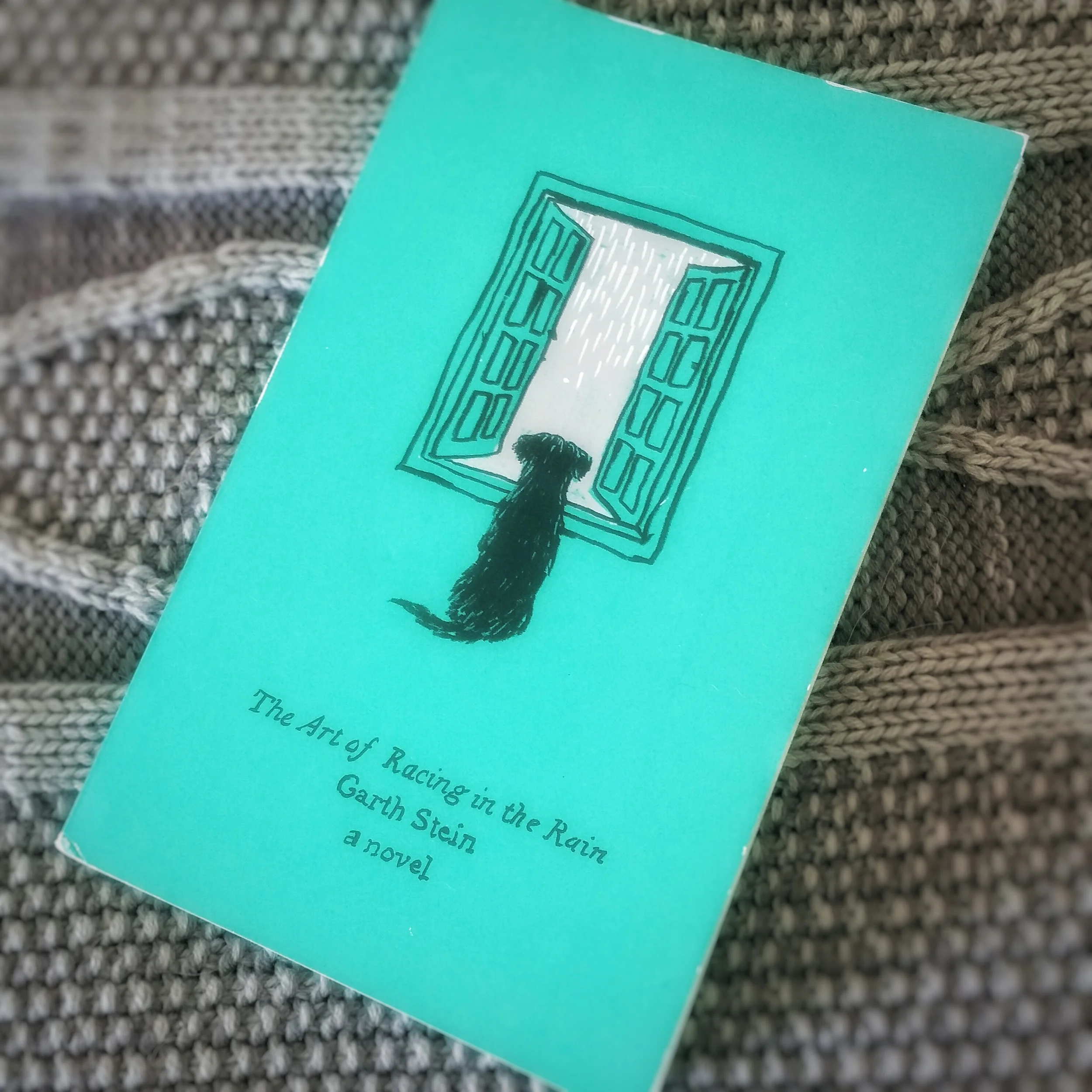 The Art of Racing in the Rain