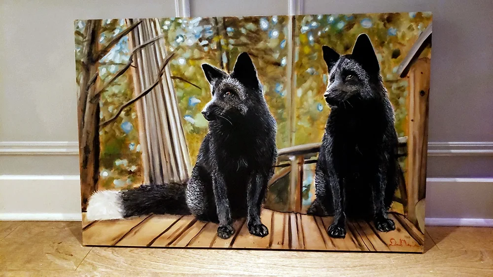 silver-foxes..jpg