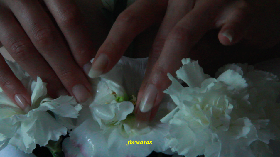 ProjetPangee_SCreaghan_VideoStills_TheMultitudinousEnds3.GutPalpitations(I)4.jpg