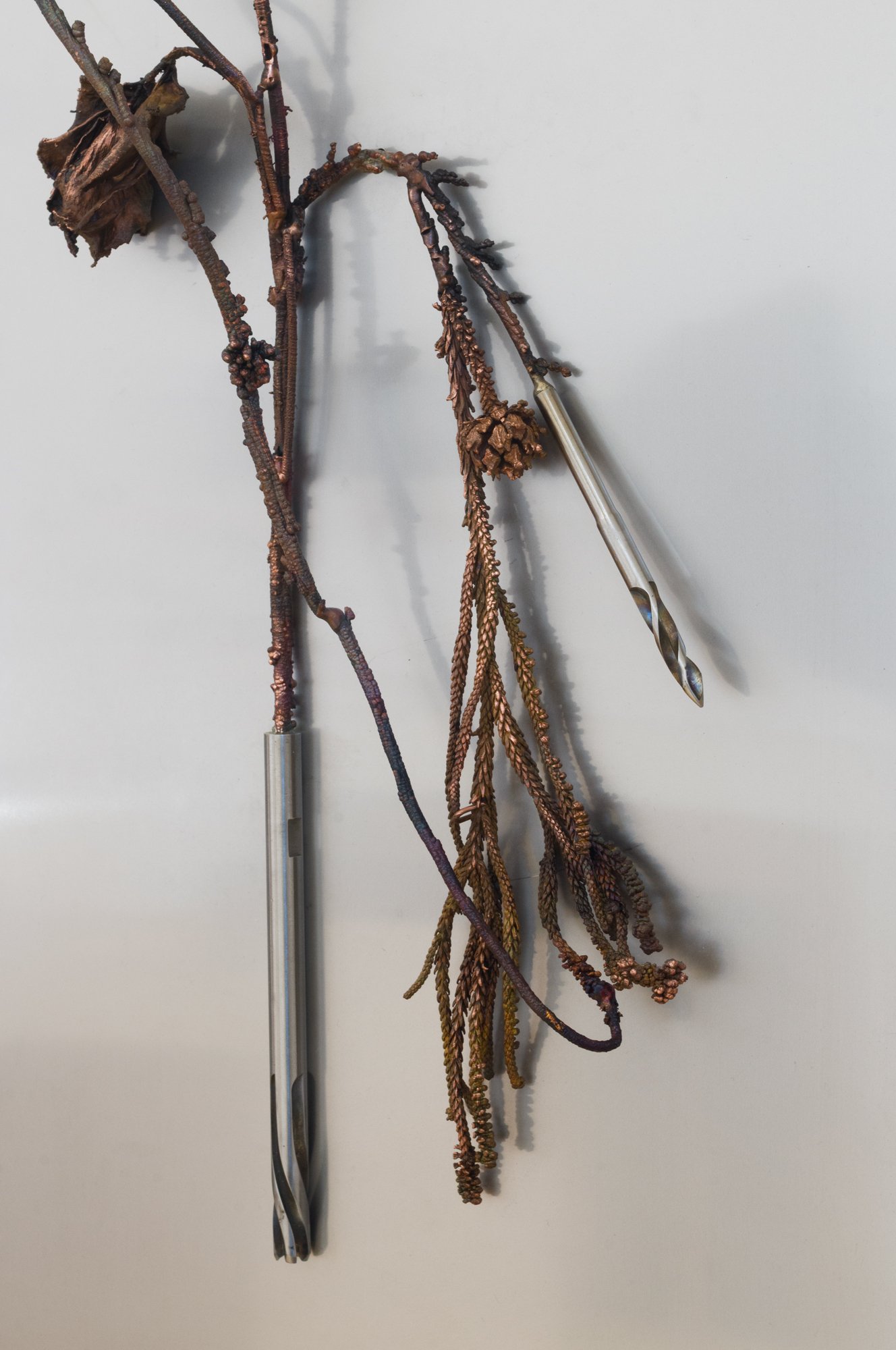 L1109934.jpg