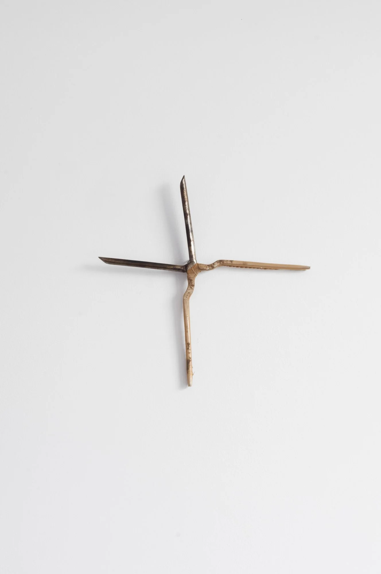 The Thorn Stigmata and The Faded Branch of The Crown %0AArtists_ Christopher Gambino, Marie Ségolène C. Brault & Dr. Aneta Stojnić-17.jpg