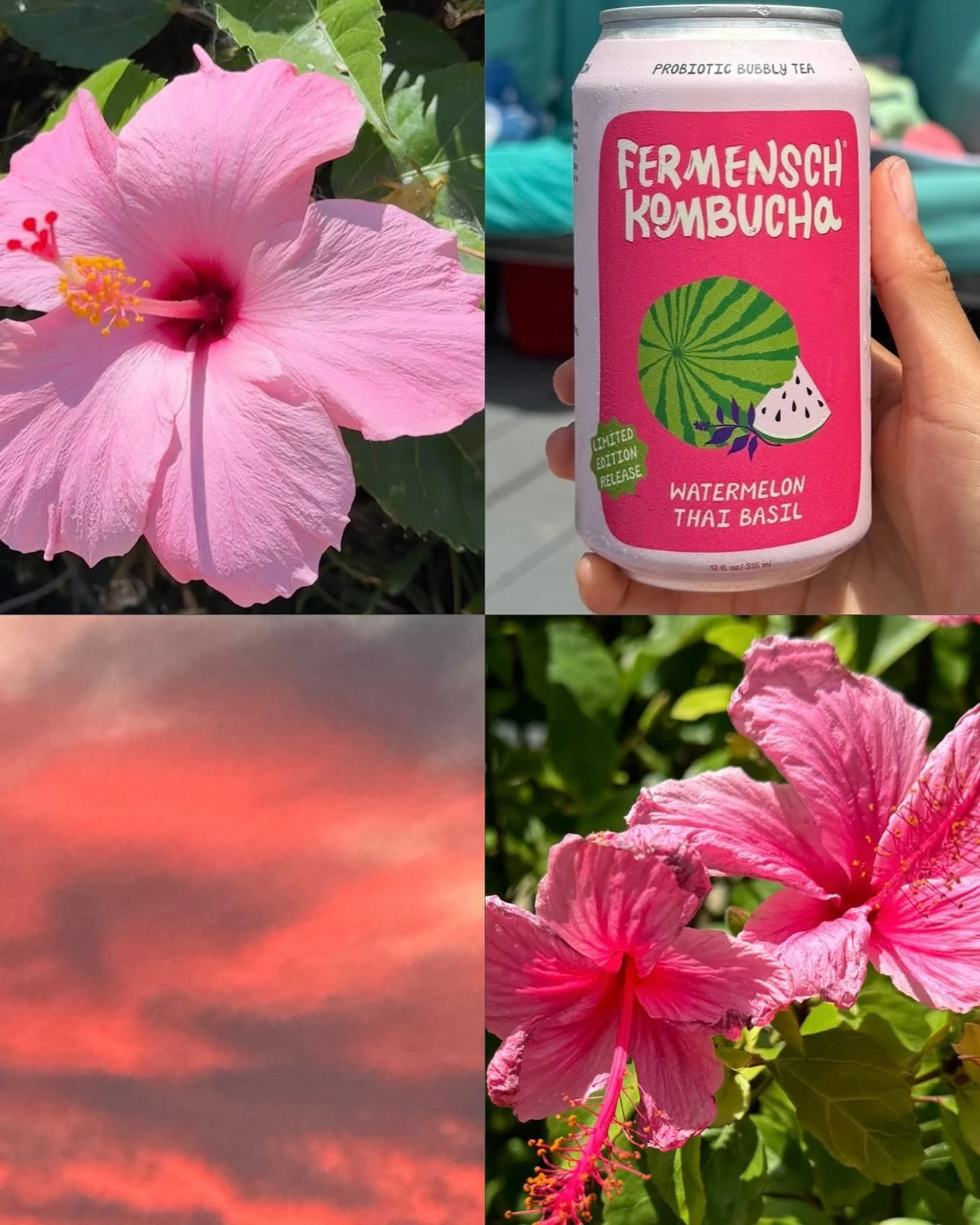 Today we 🩷 pink