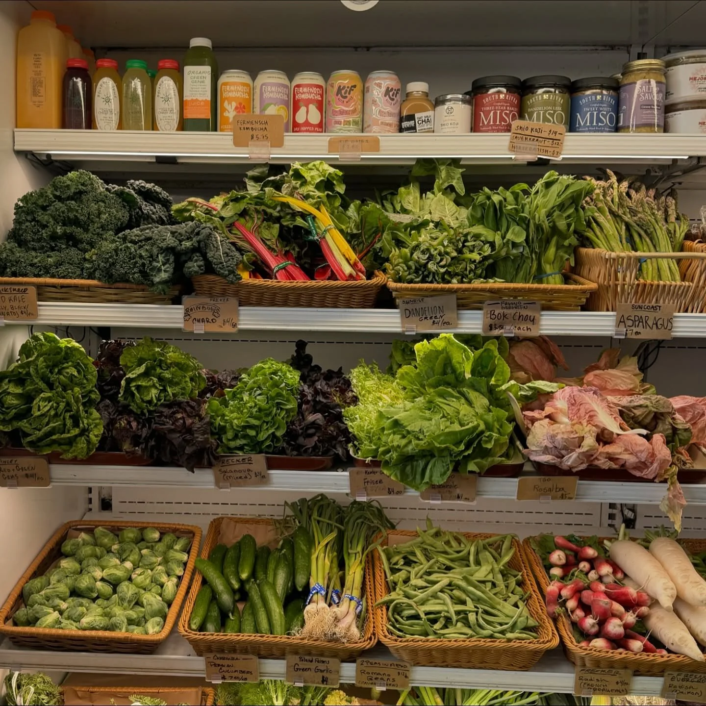 Delivery aesthetics ⭐️⭐️⭐️