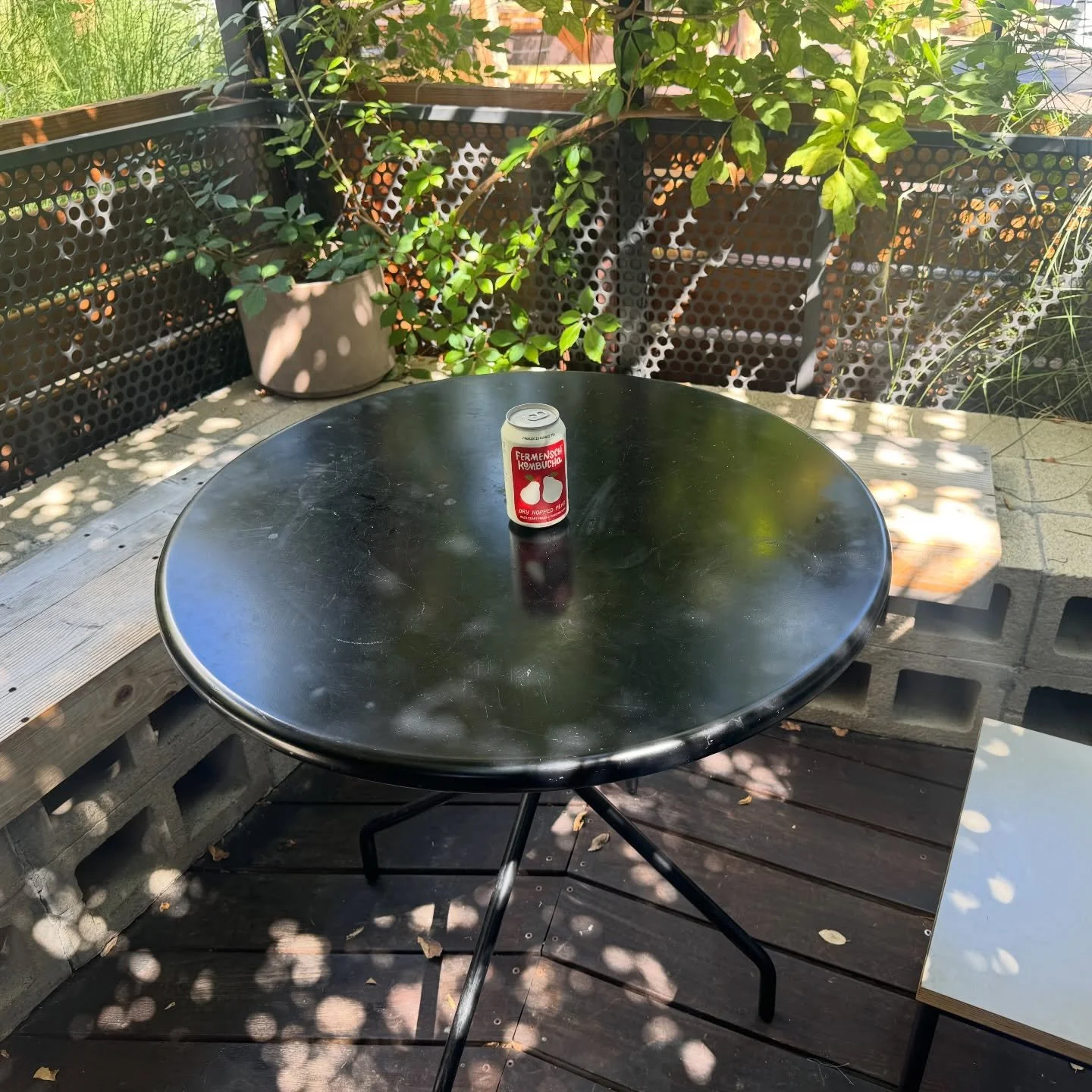 Rain or shine stay healthy with some booch !