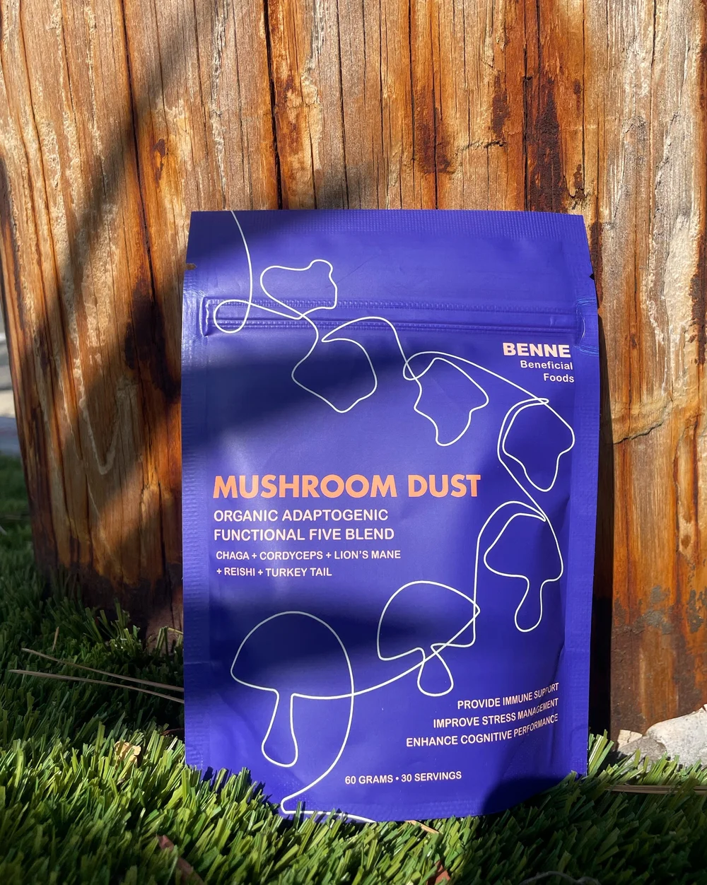 Adaptogenic Mushroom Dust — Fermensch Kombucha
