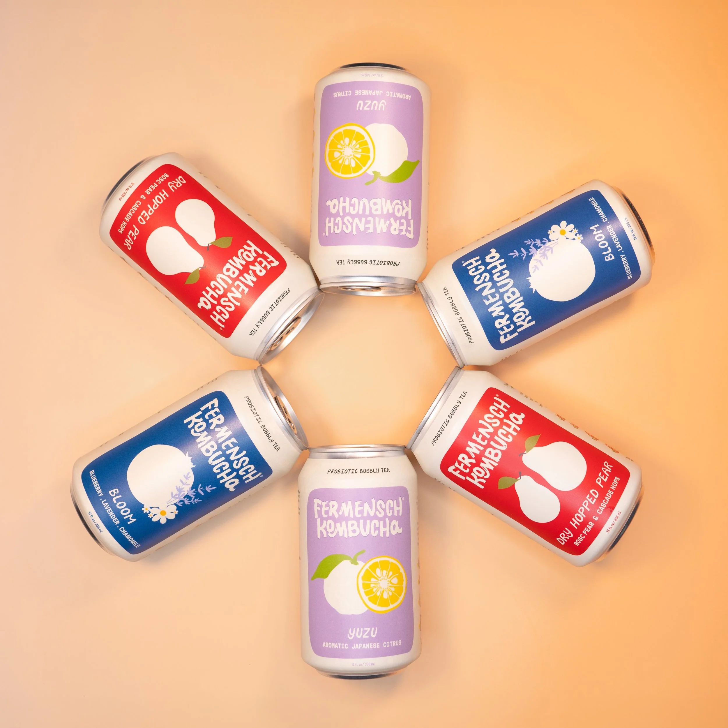 Circle of Cans-Overhead-Square- Fermensch kombuhca.jpg