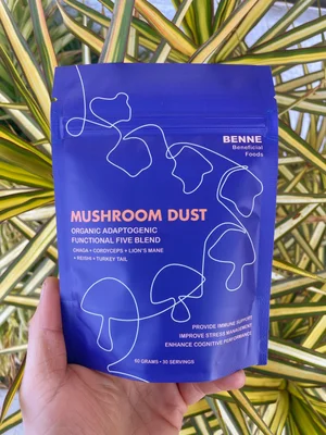 入手困難 M’AXUS参加オムニバスCD TRACY MAXUS FUNGUS Adaptogenic Mushroom Dust — Fermensch Kombucha