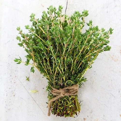 balsam-farms-shop-herbs-thyme.jpeg