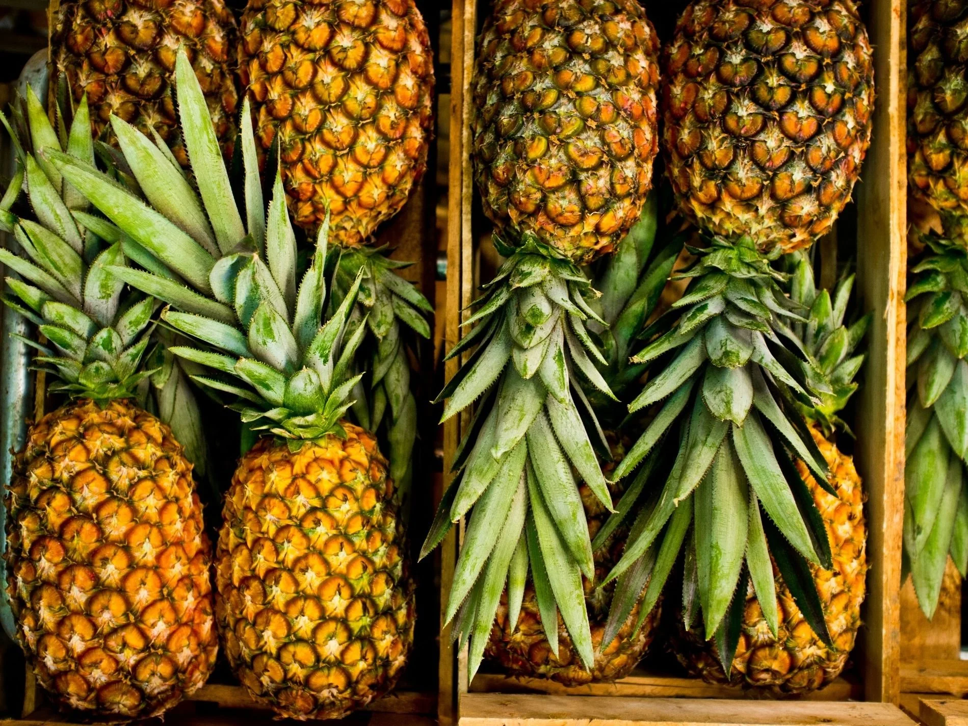 high-angle-view-of-pineapples-in-crate-587191515-581101da5f9b58564c6a87df.jpg