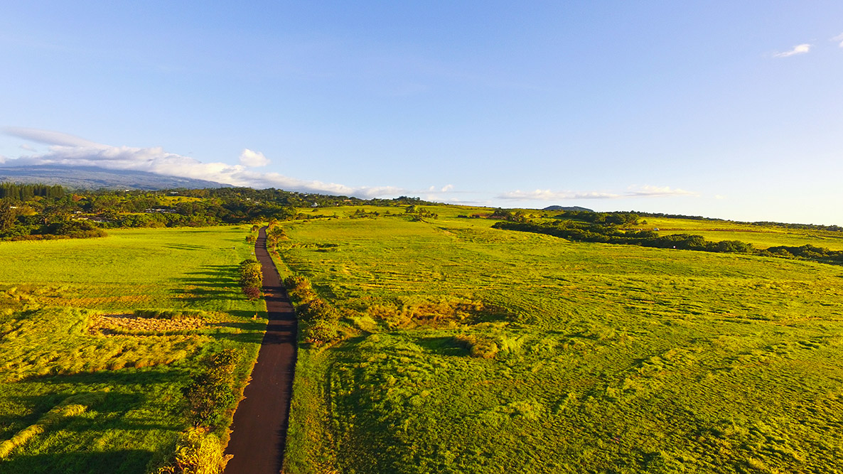 20180619-DJI_0062.jpg