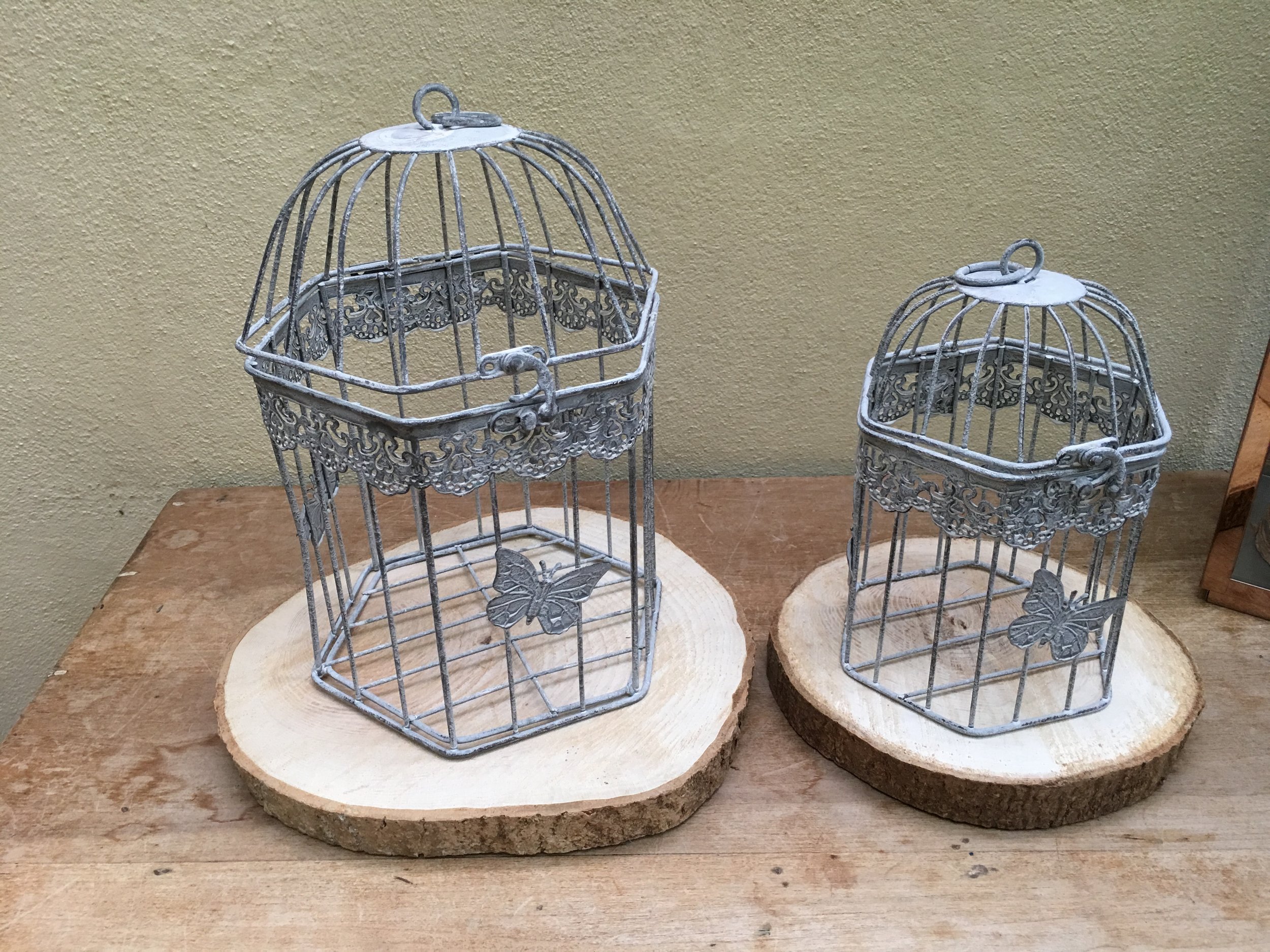 Bird Cages