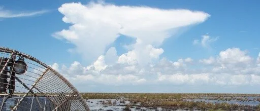 USNWRS Marsh.JPG