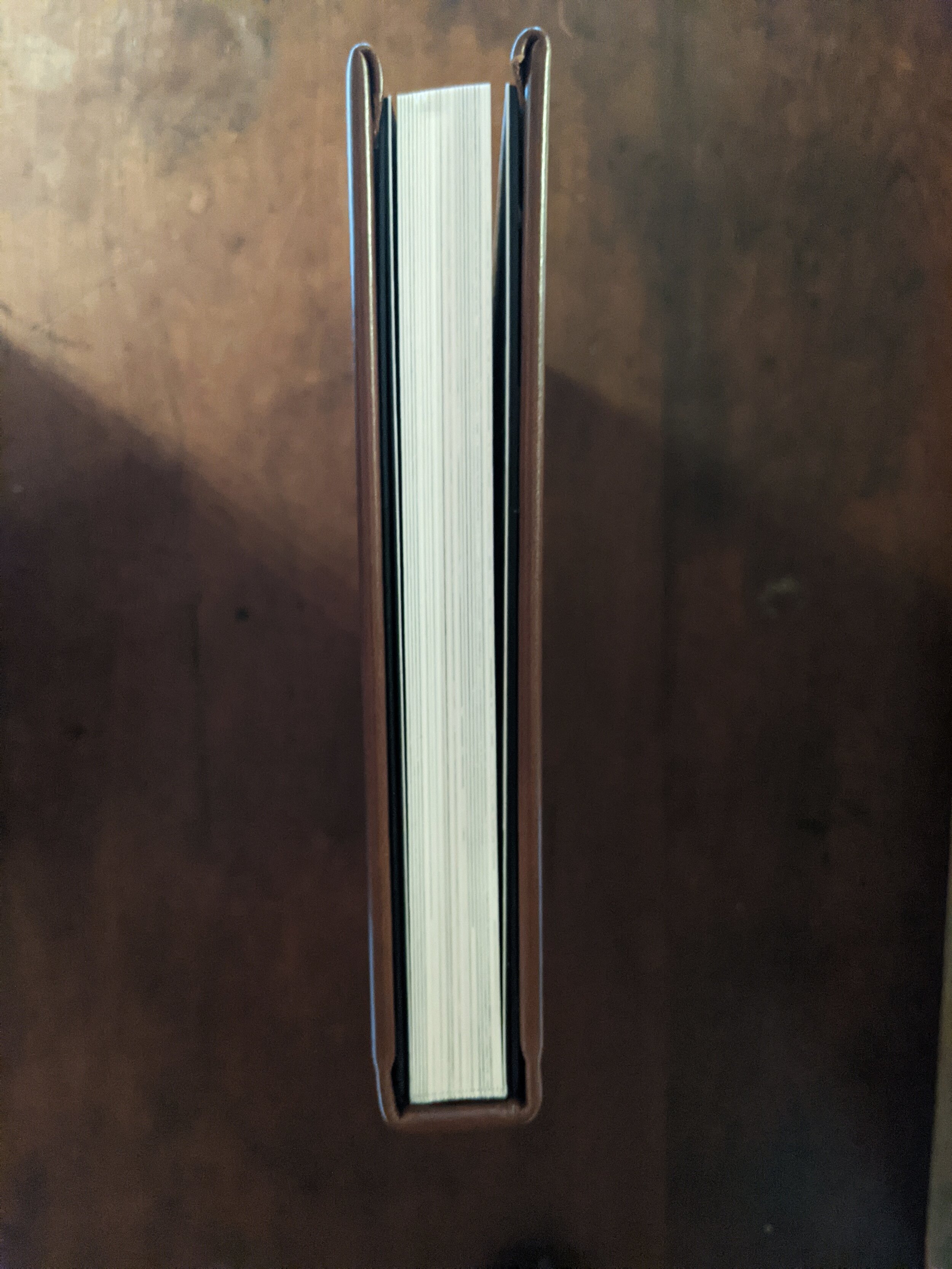 PXL_20210622_210418768-01.jpeg