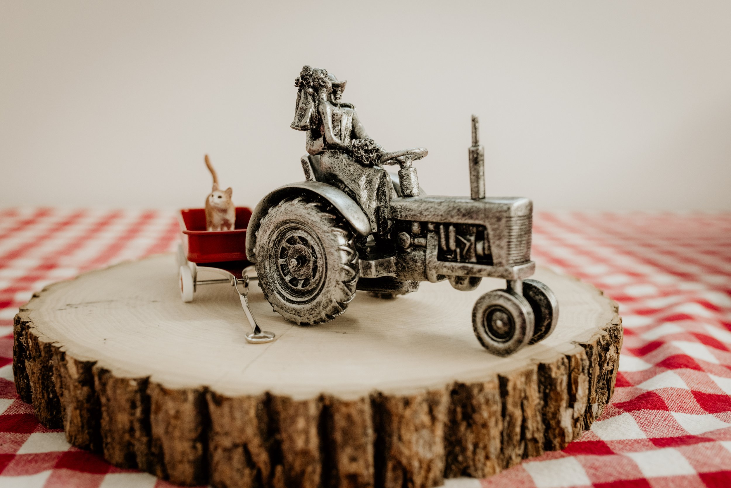 Wedding Tractor Detail