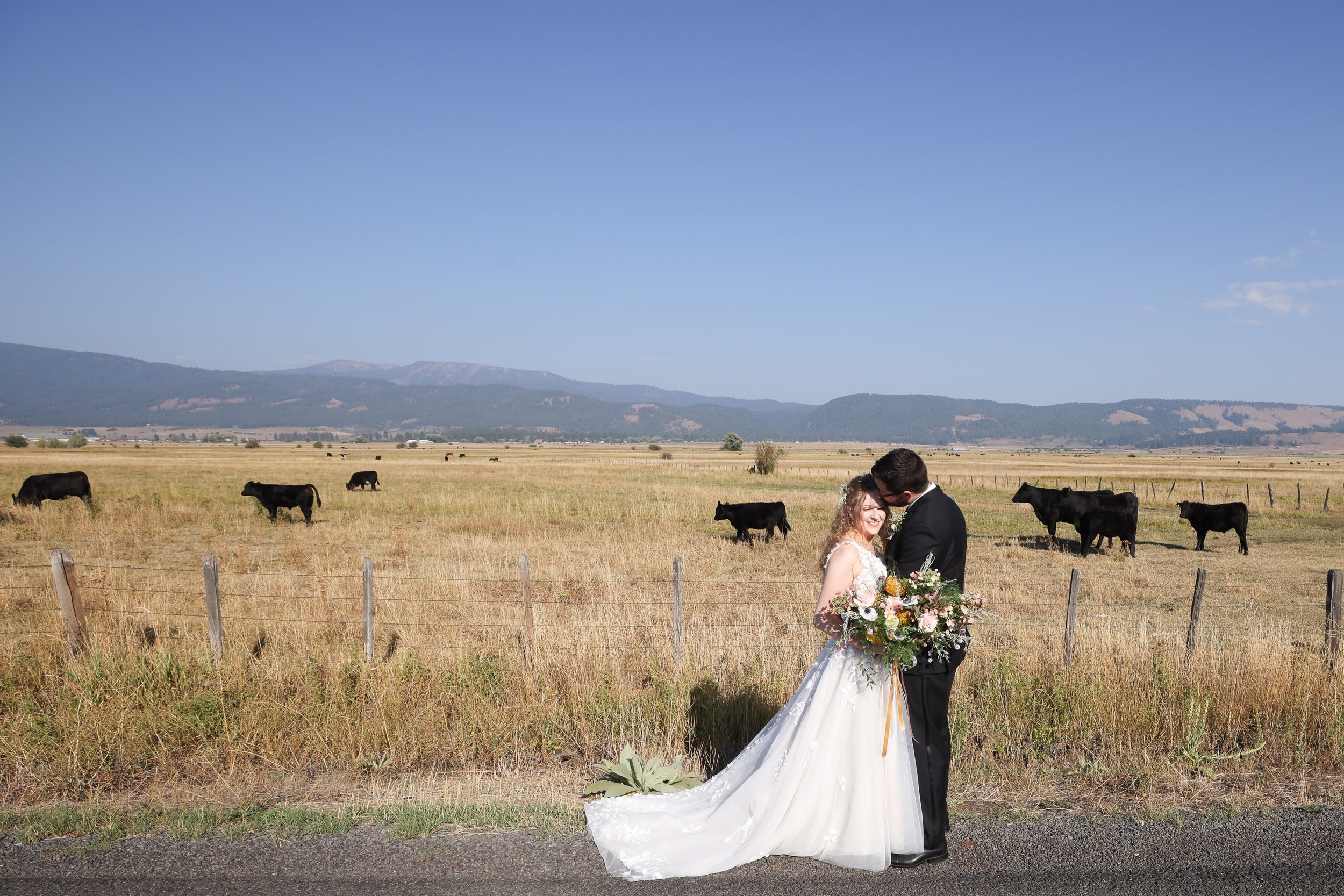 Bride and Groom with Cows