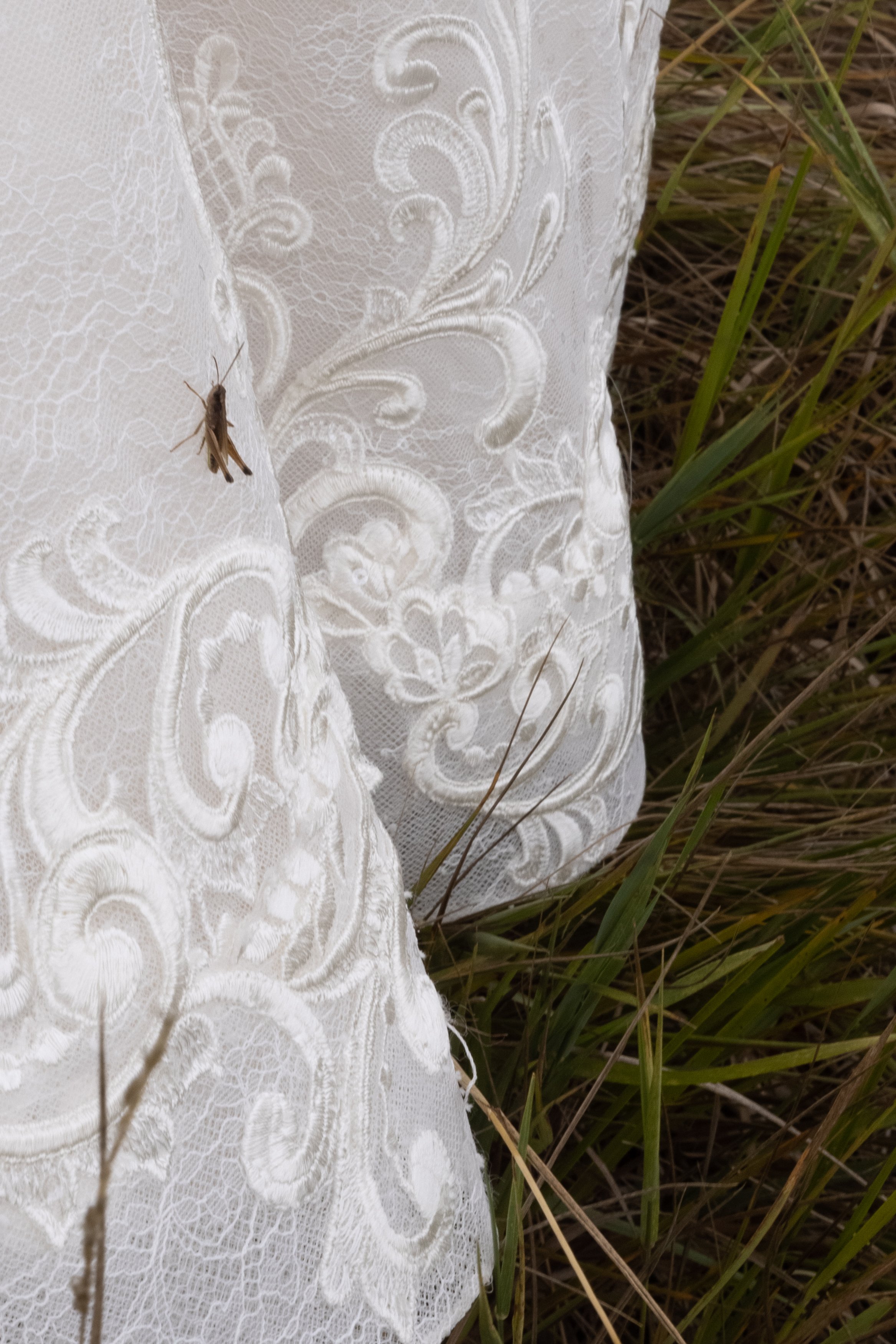Grasshopper on Bride Dress