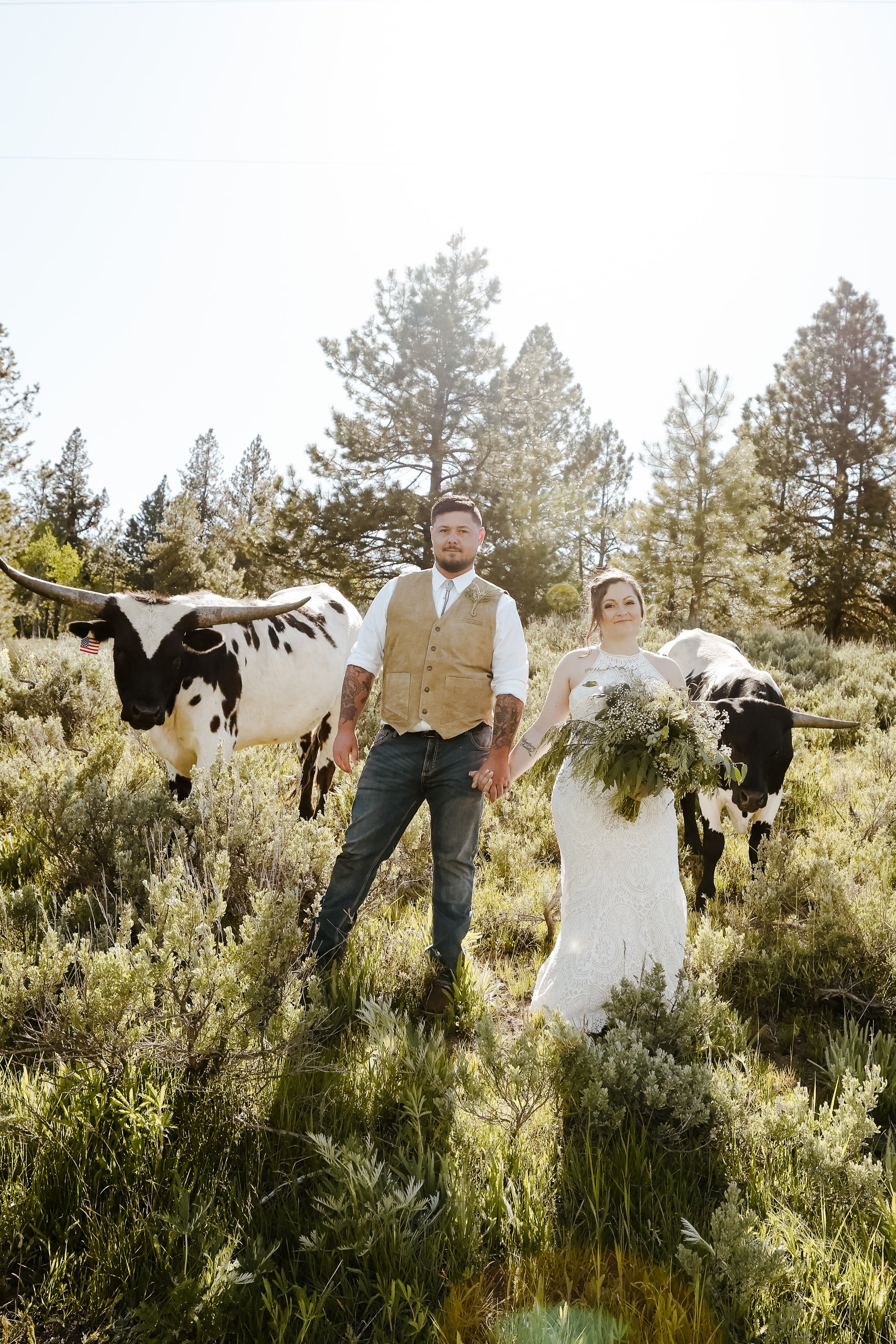 Wedding Couple with Longhorn