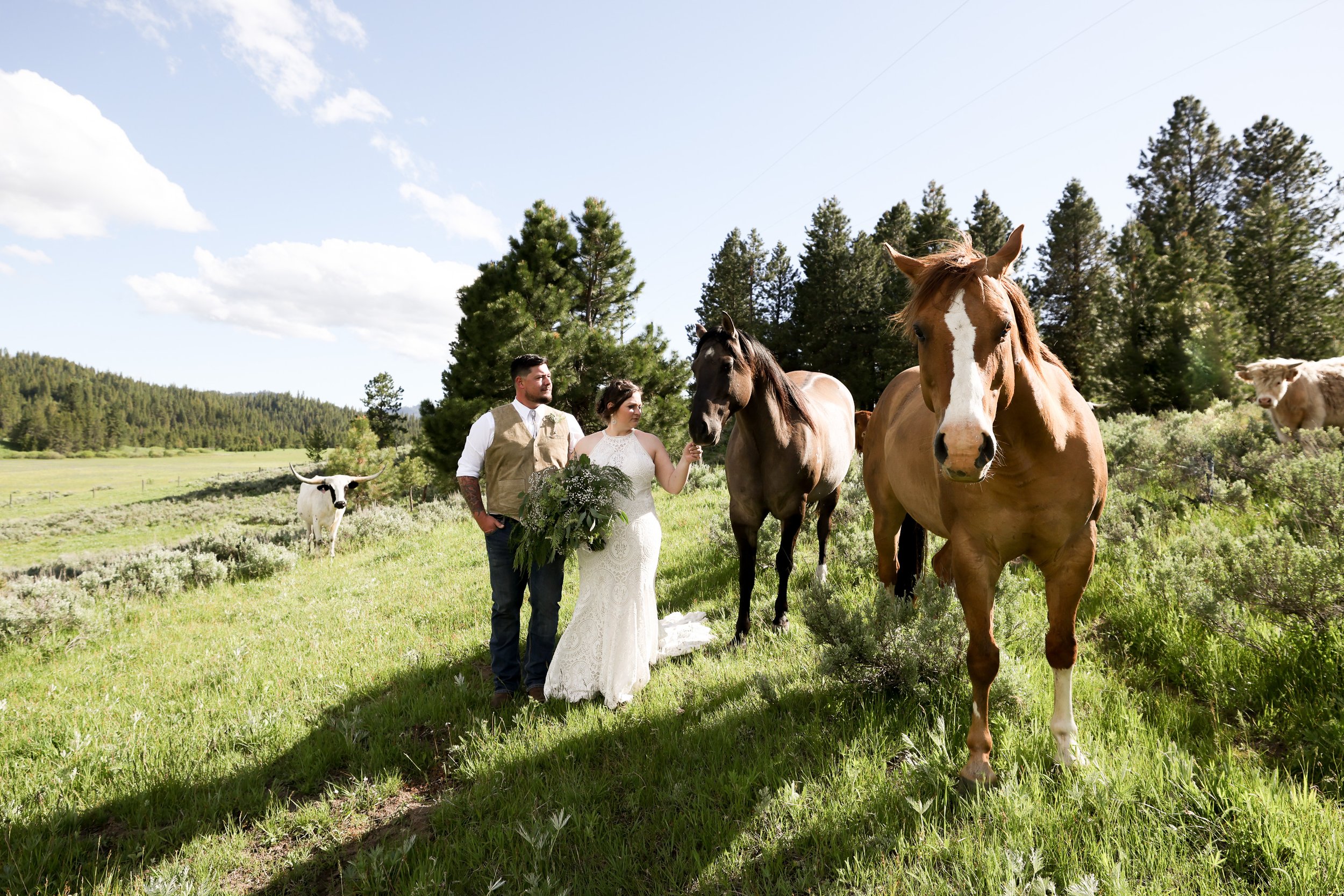 Wedding Couple with Horses