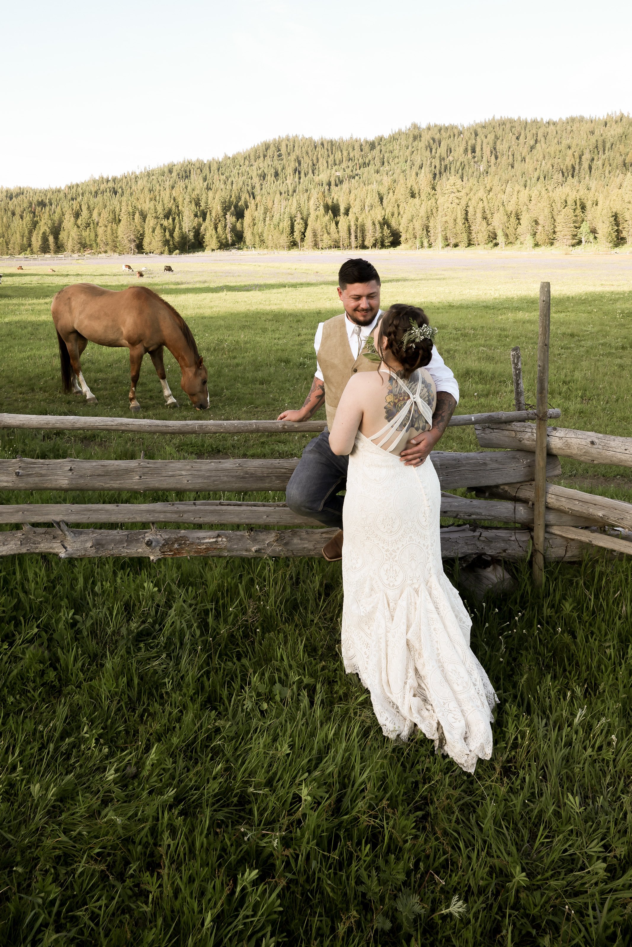 Bride and Groom and Horse
