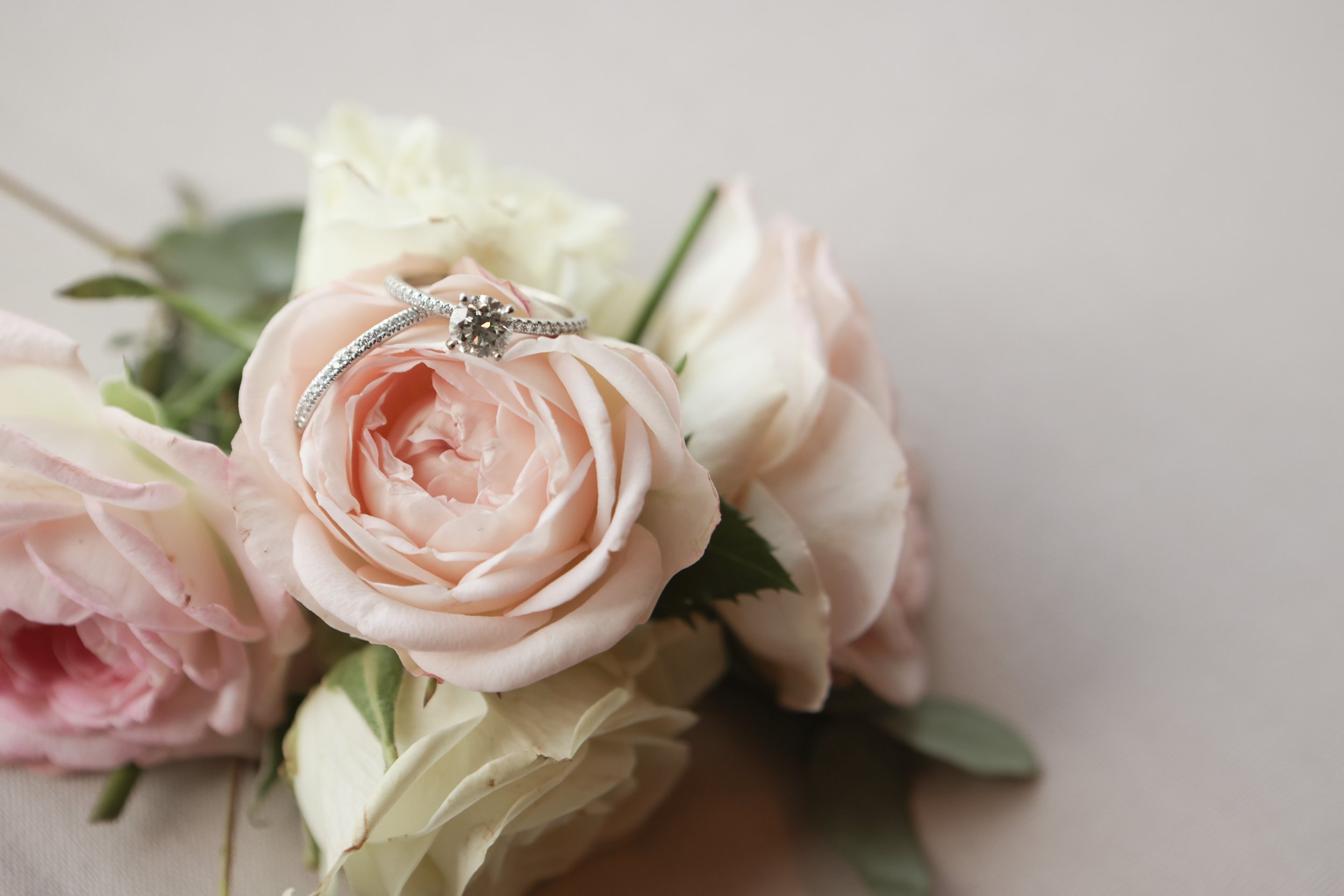 Wedding Rings on Roses