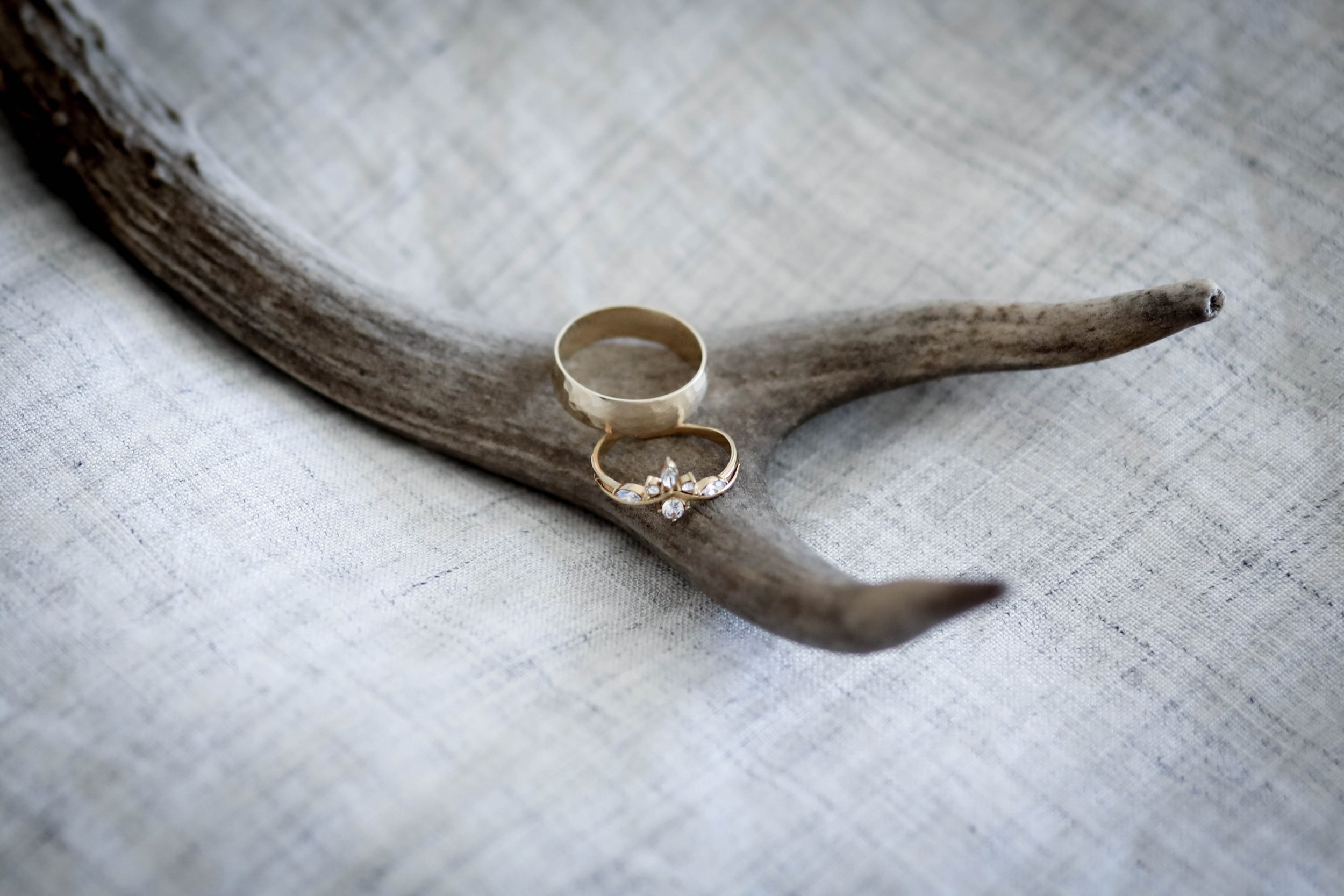 Wedding Rings on Antlers (Copy)