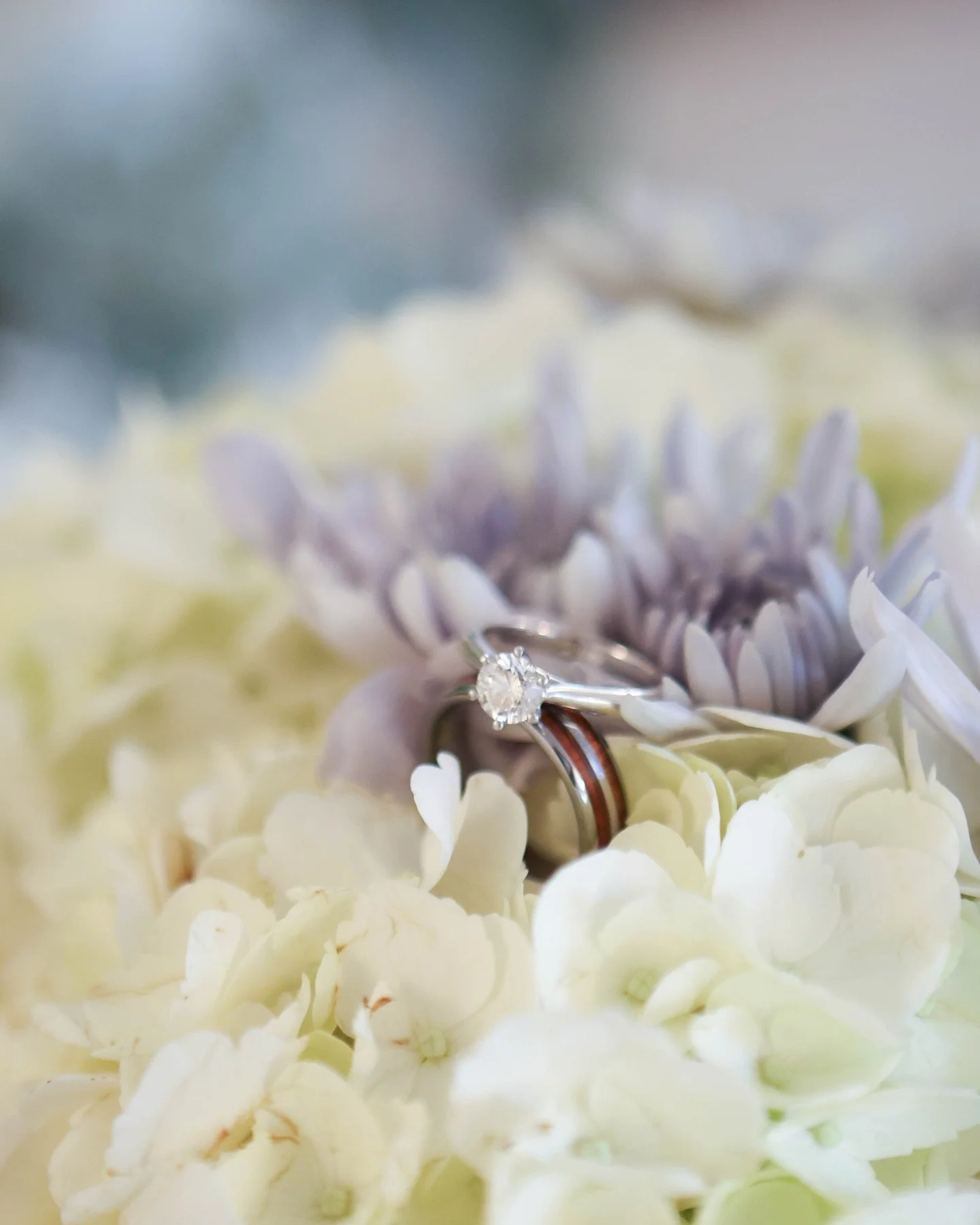 A love story wrapped in elegance. 💫

Surrounded by family and friends, having found love after loss, Tiffany + Bill&rsquo;s beautiful wedding was the perfect love story. 🤍✨

Couple | @spriggel + Bill
Photographer | @amyisacsonphoto 
Gown | @bbbrida