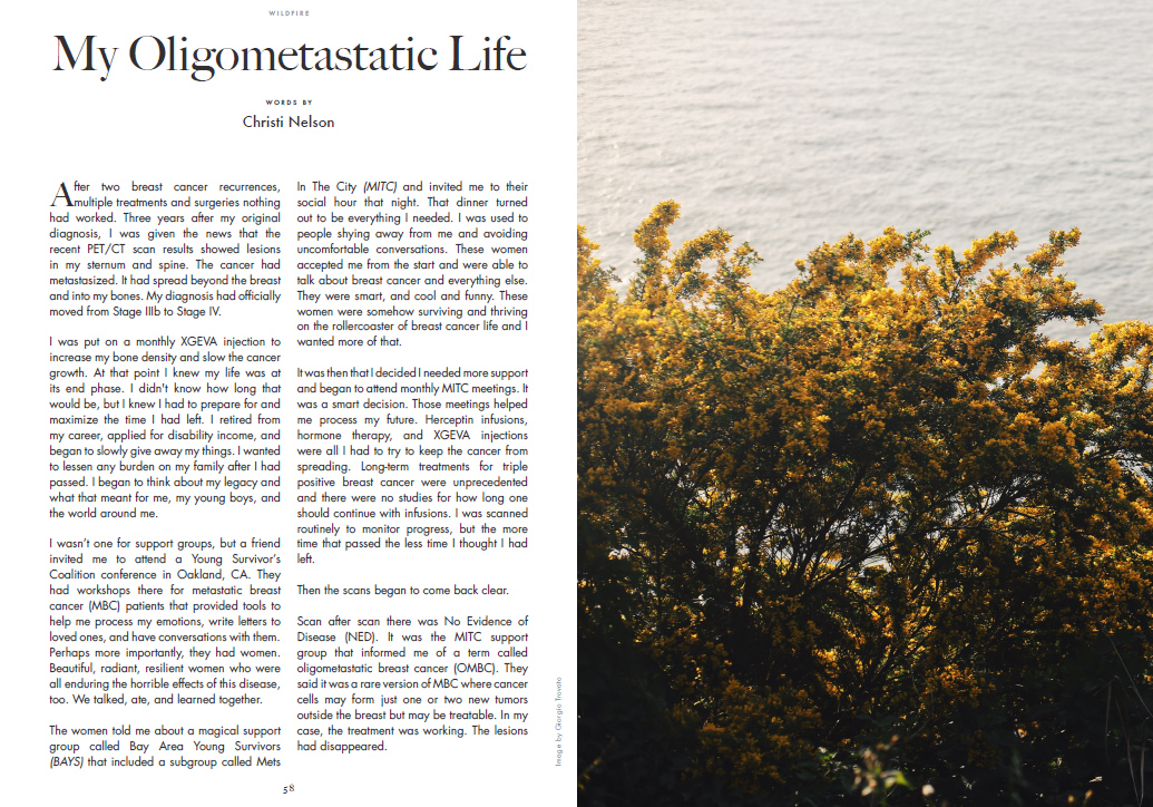 Digital: BAY AREA YOUNG SURVIVORS (Feb/Mar '21) — Wildfire Magazine