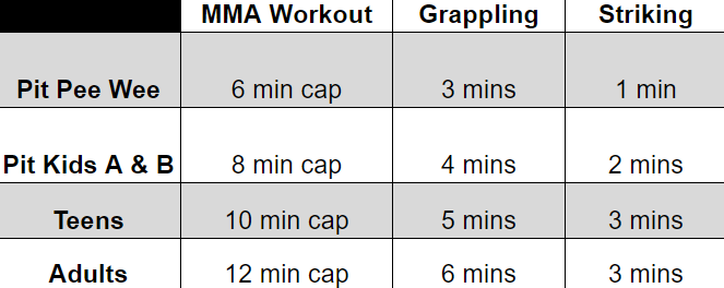 Competitors will be assigned a bout based on skill and weight, not necessarily by age or belt rank