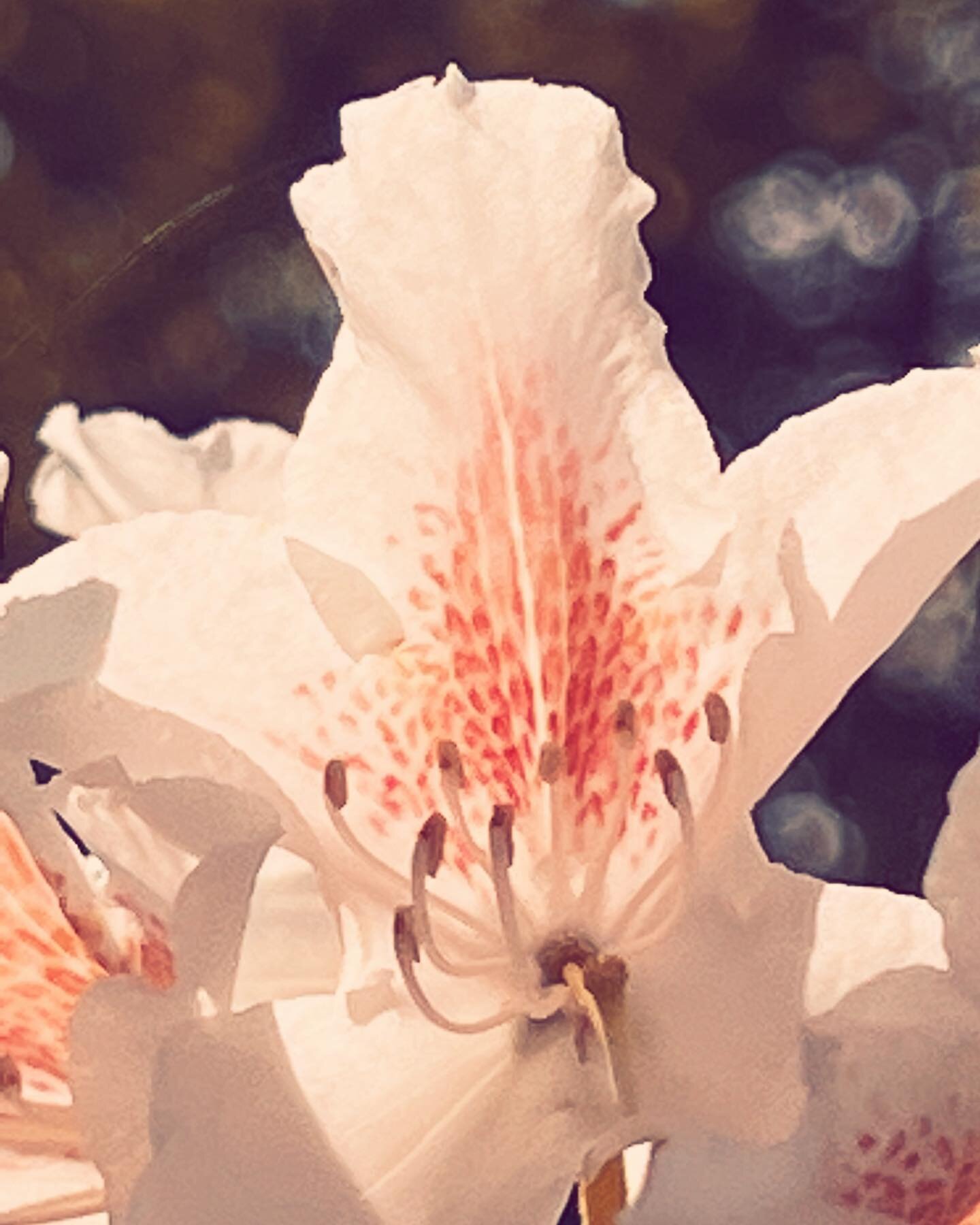 Sunday spring porn 🌸 

And the smells &hellip;. 

#sweden #spring #blooming #wow