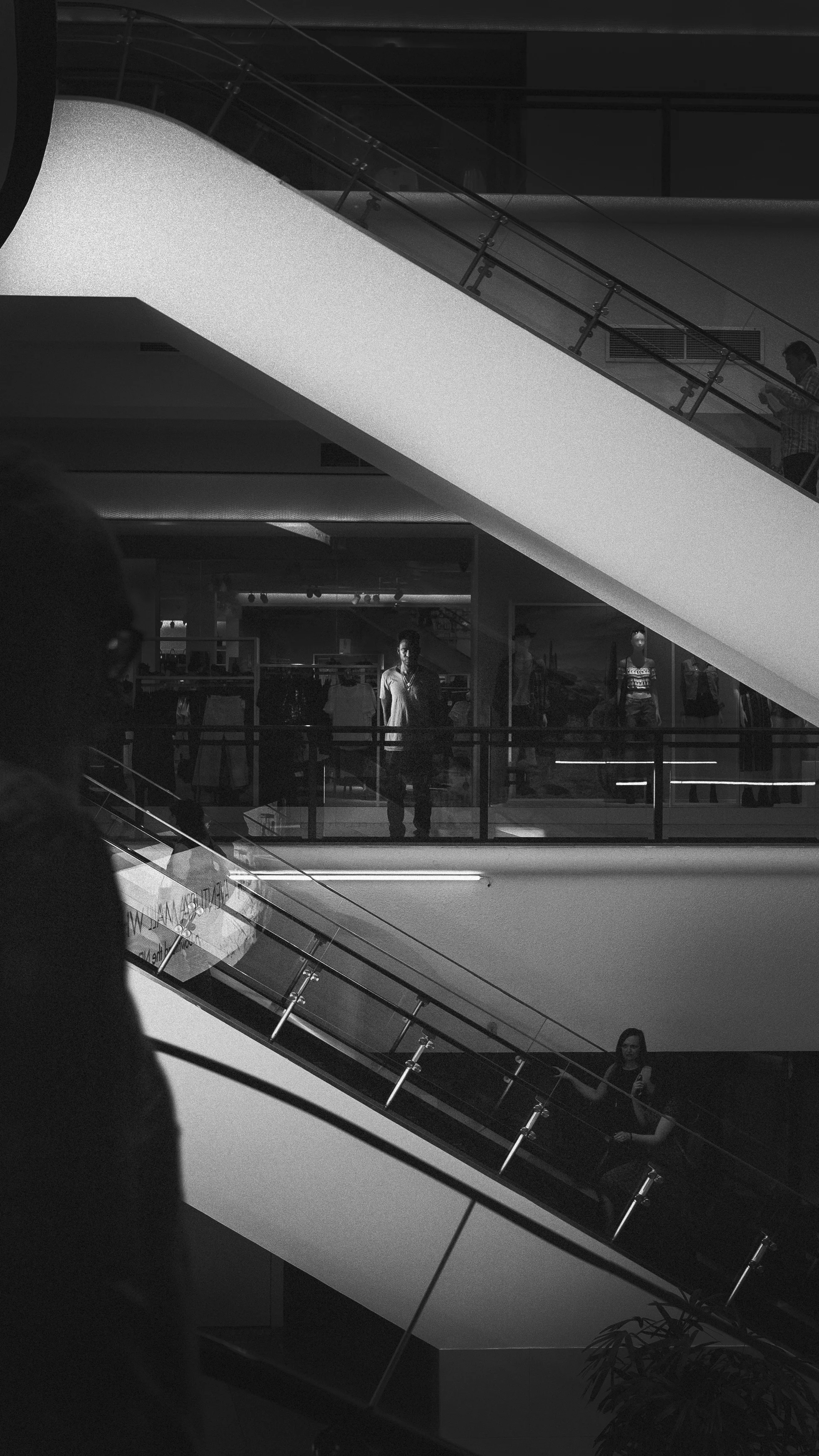 02_Louie_04252016.jpg