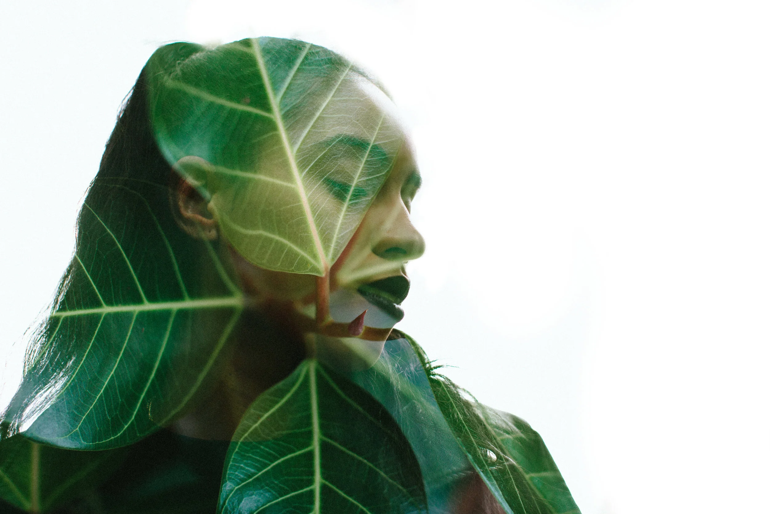 003_demi-double-exposure_20160811.jpg