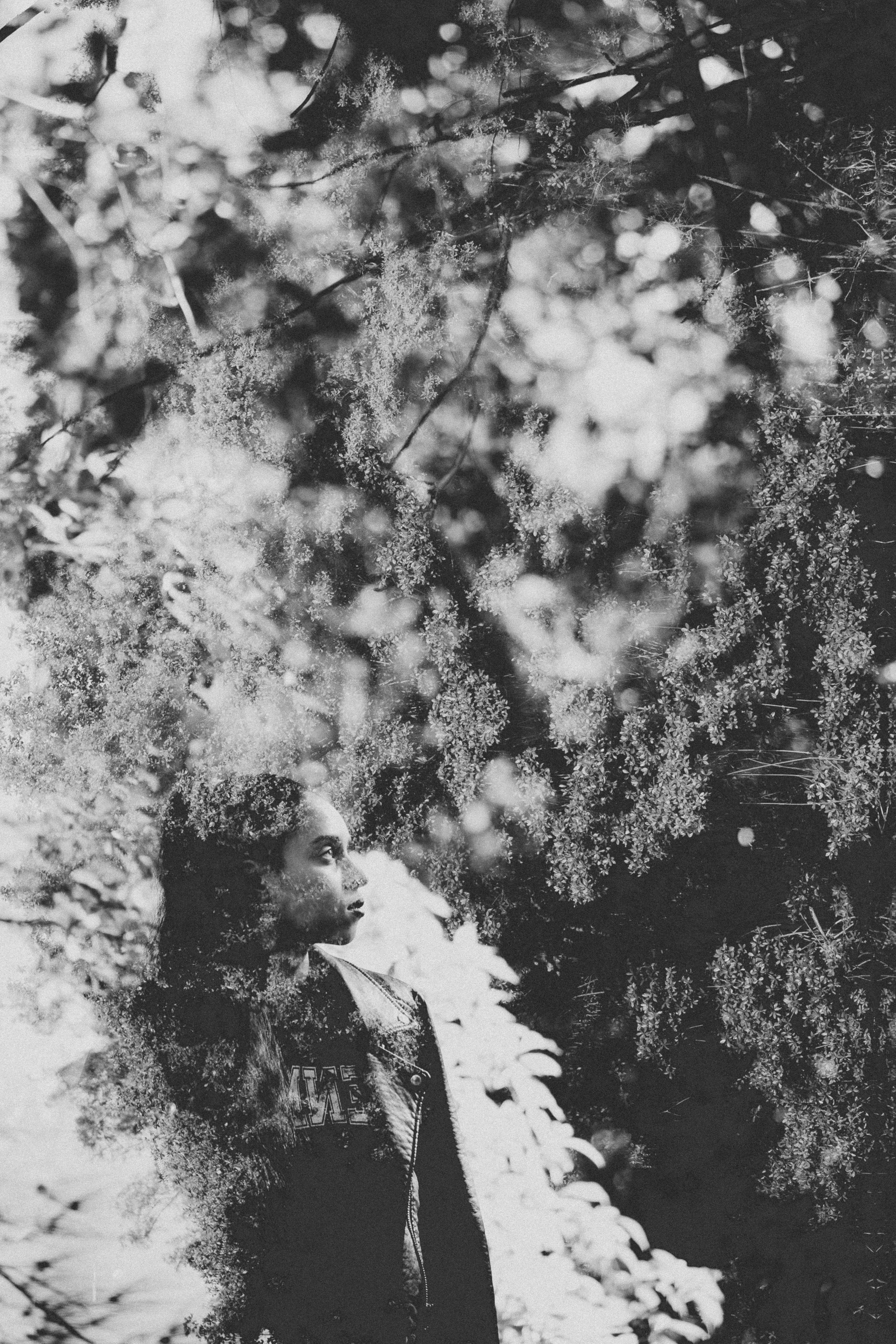 018_demi-double-exposure_20160811.jpg