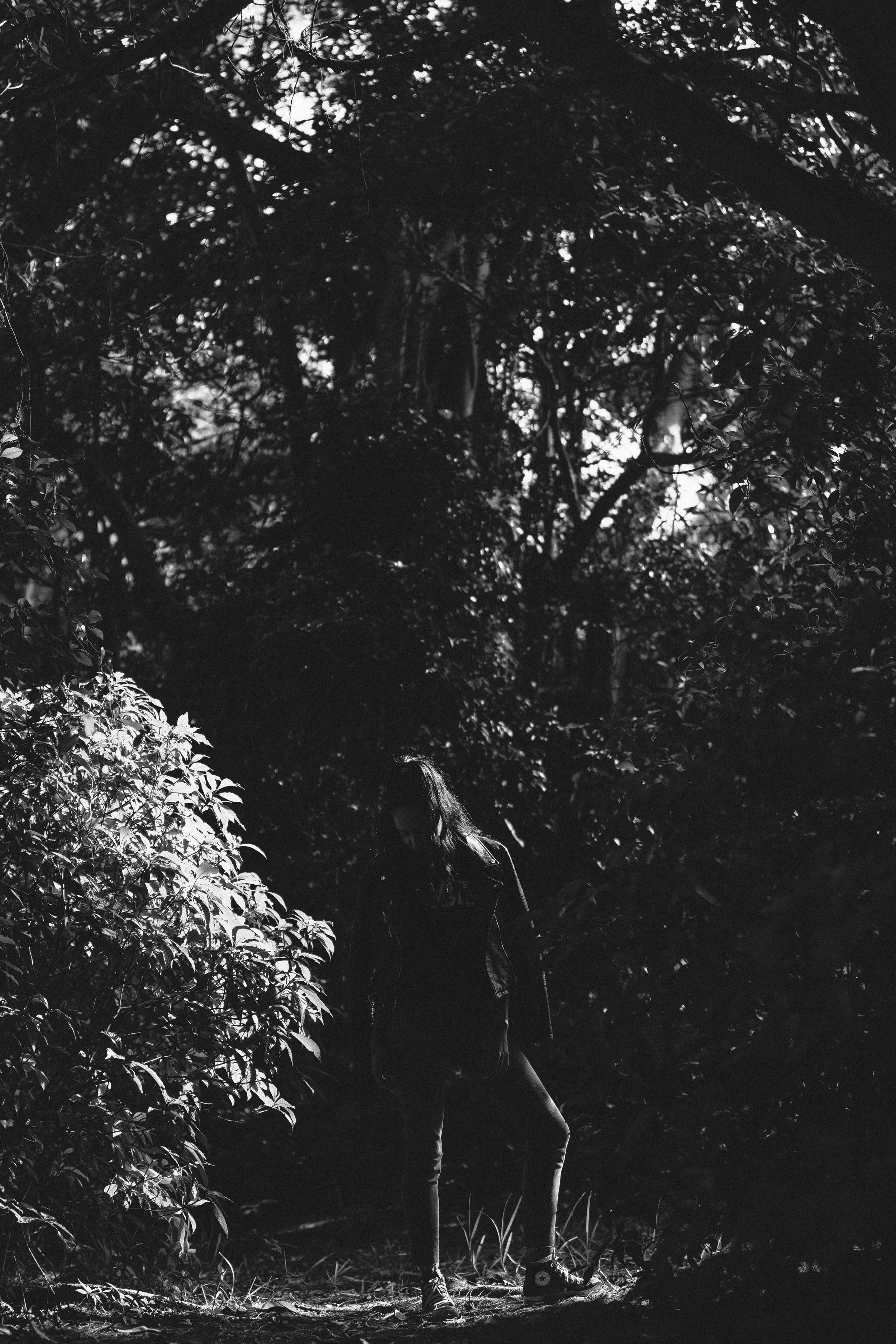 028_demi-double-exposure_20160811.jpg