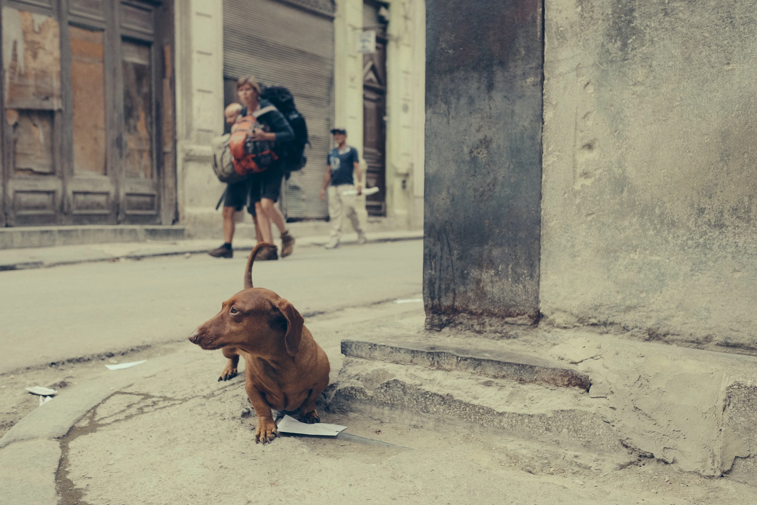002_cuba-stellancy_20170421.jpg