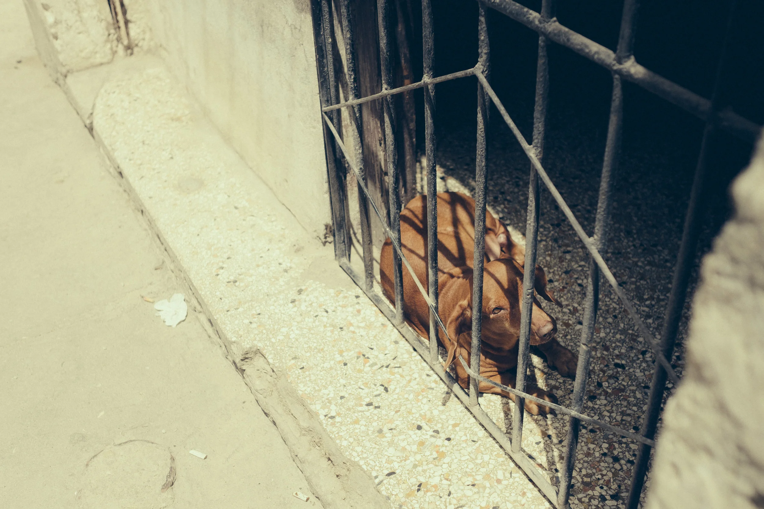 024_cuba-stellancy_20170422.jpg