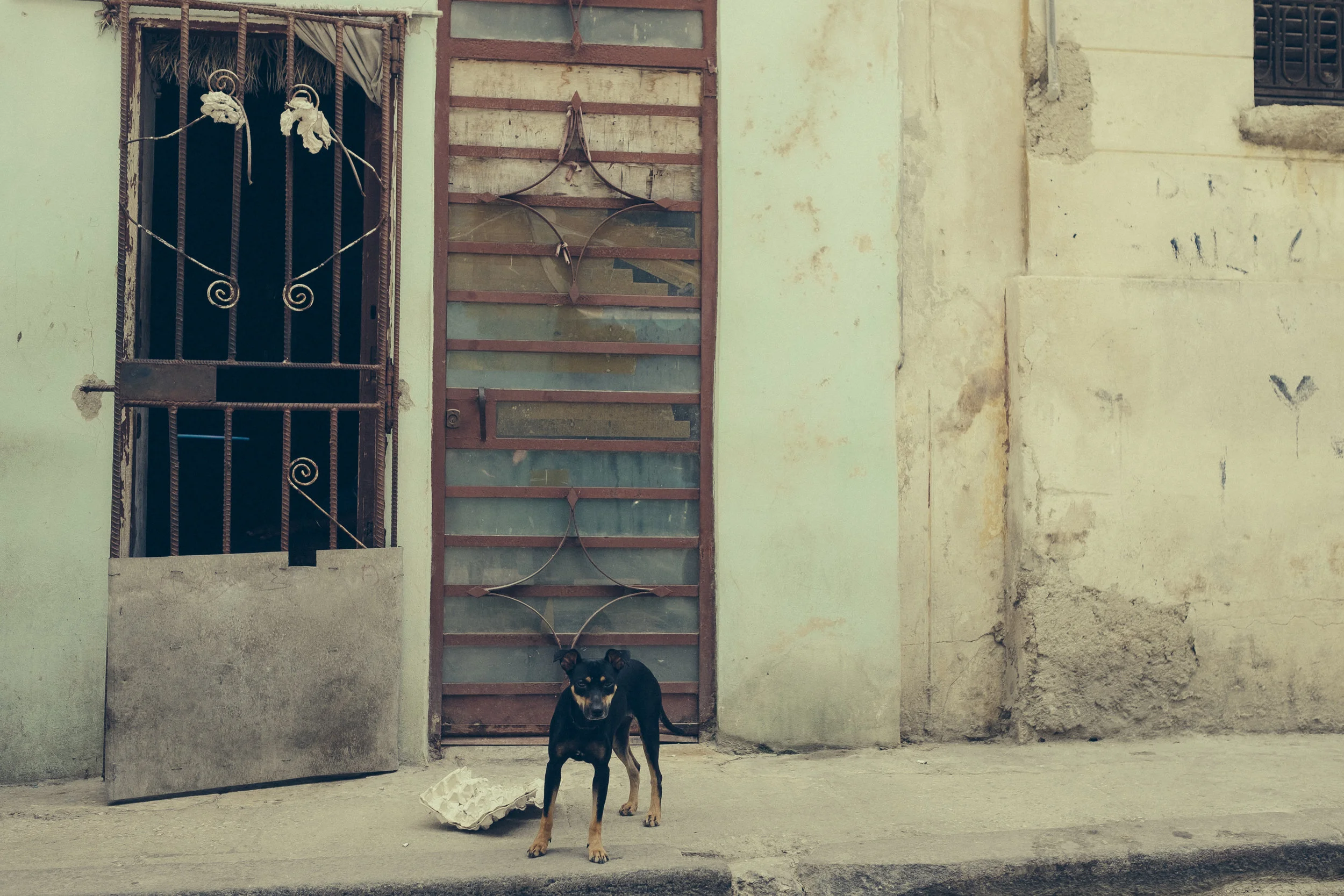 033_cuba-stellancy_20170422.jpg