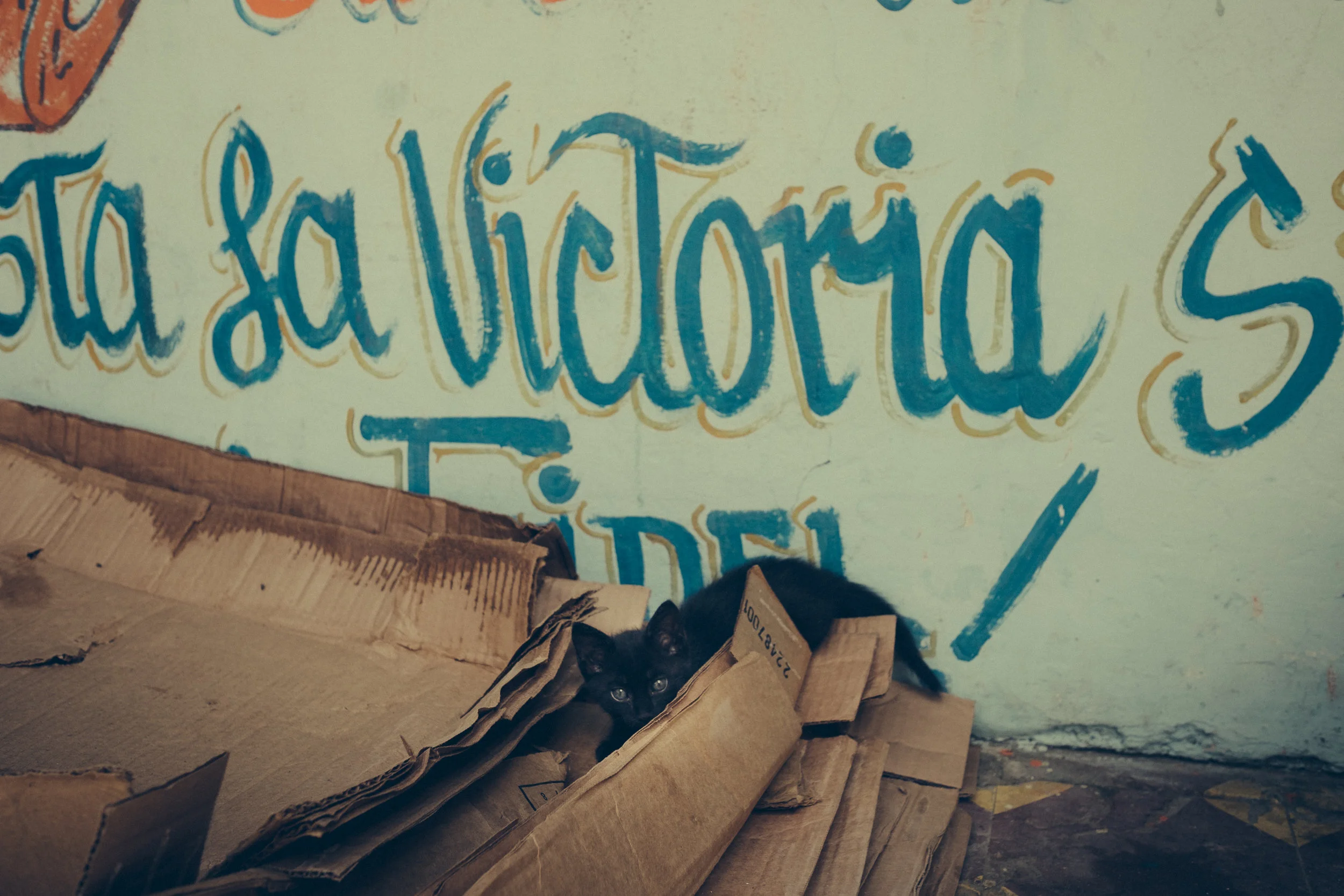 039_cuba-stellancy_20170422.jpg