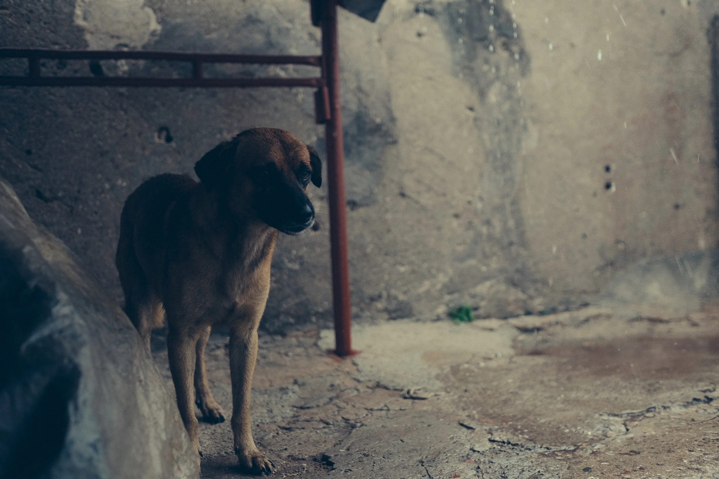 049_cuba-stellancy_20170422.jpg