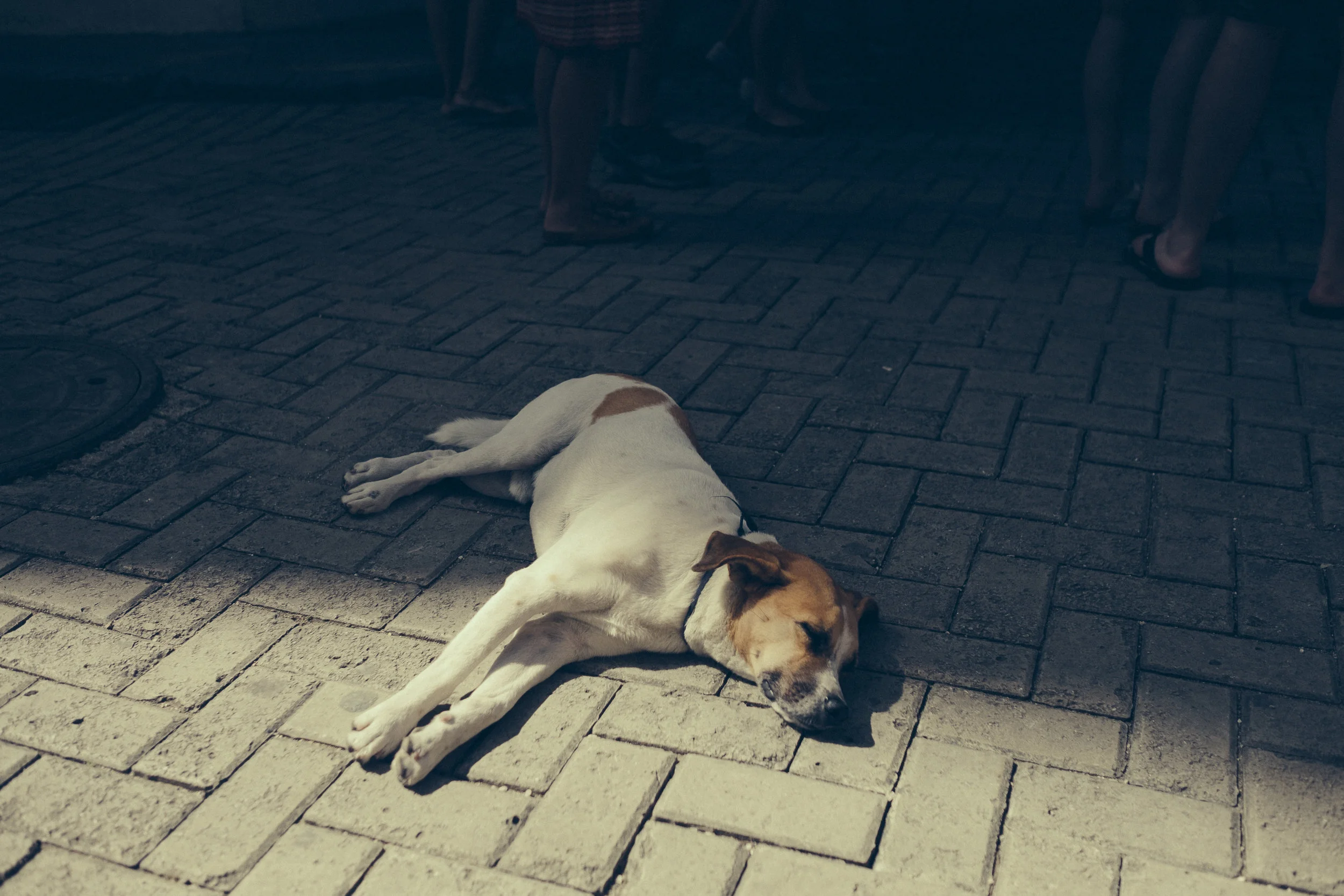 055_cuba-stellancy_20170423.jpg