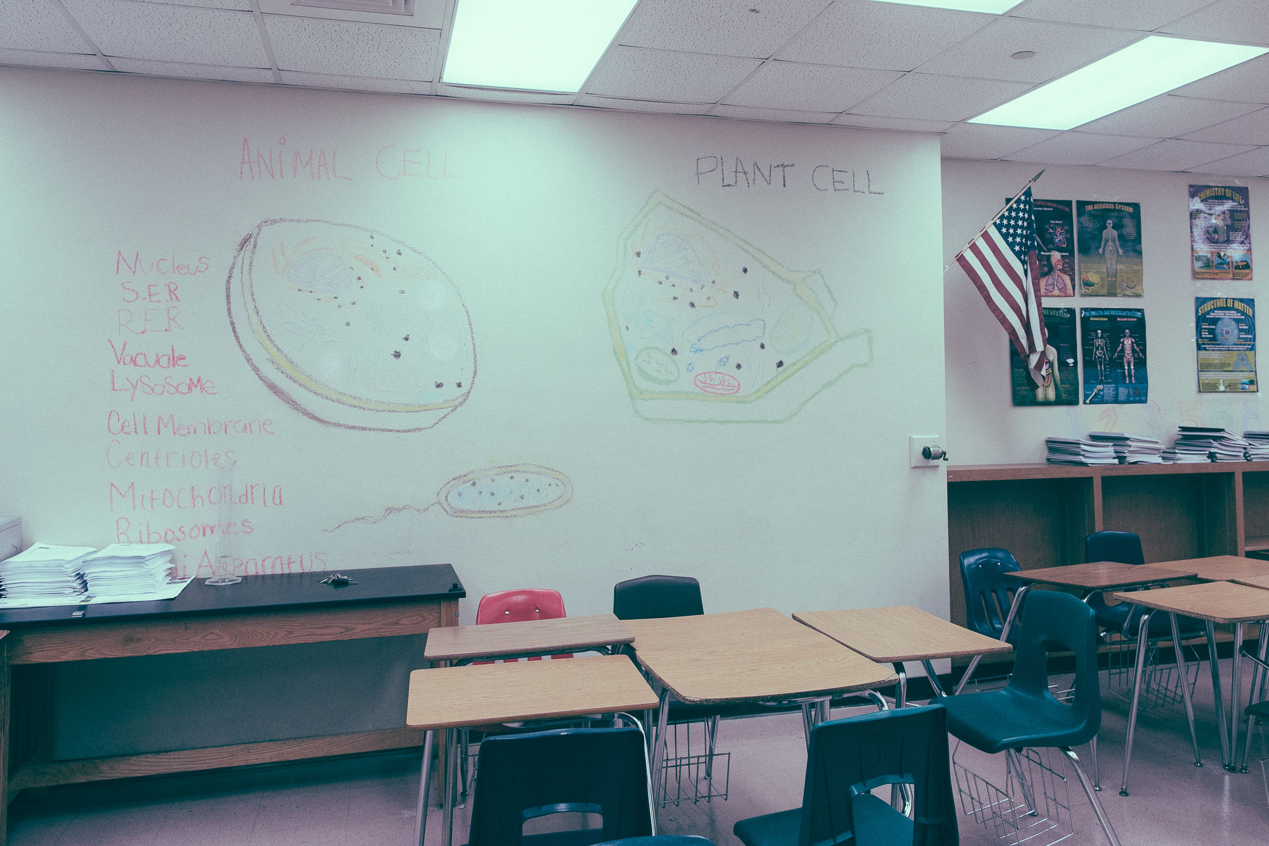 038_School-retrospect_20180910.jpg